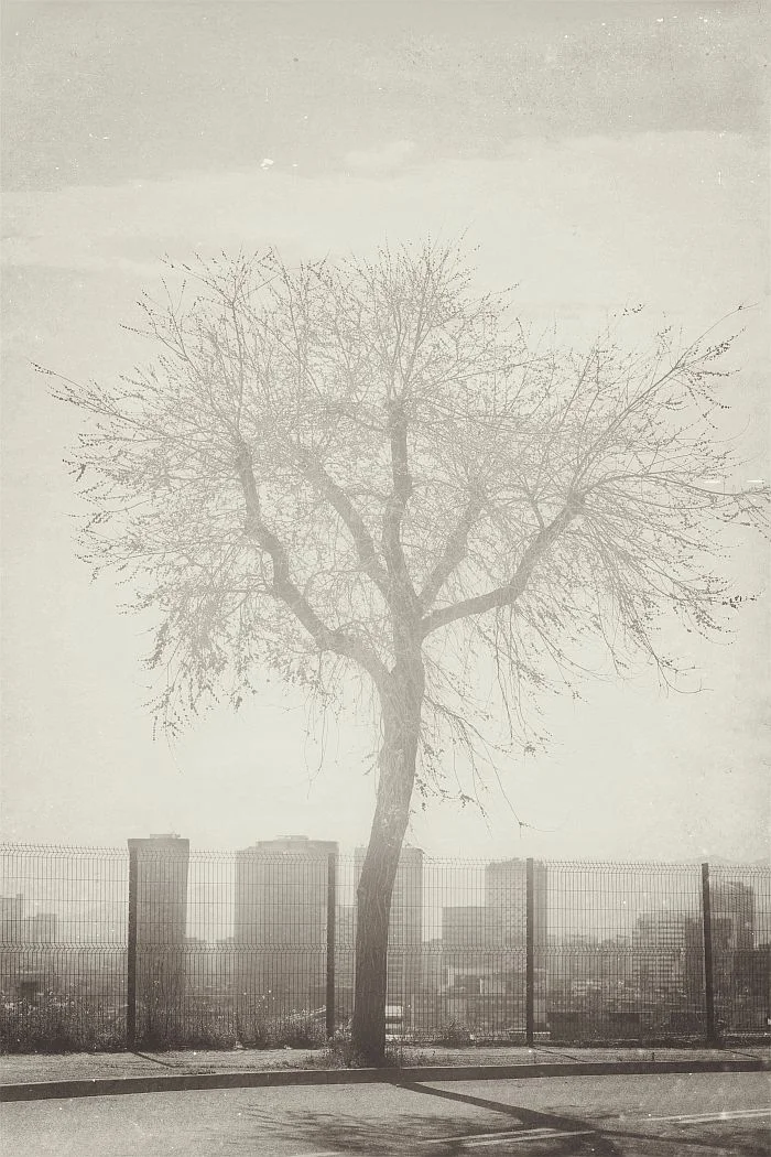 julian-schulze-photography-pB (12).jpg