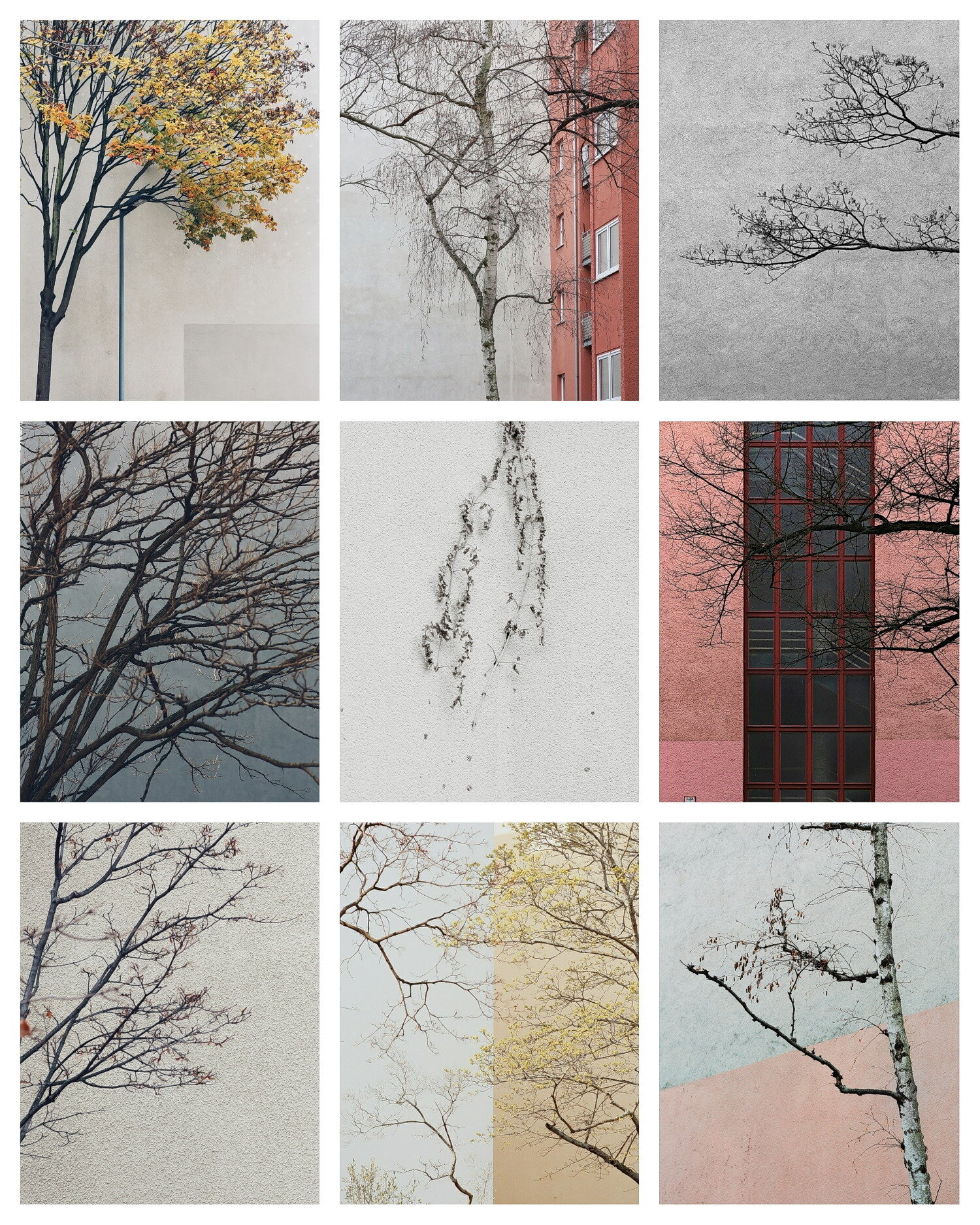 1500px_Collage_1.jpg