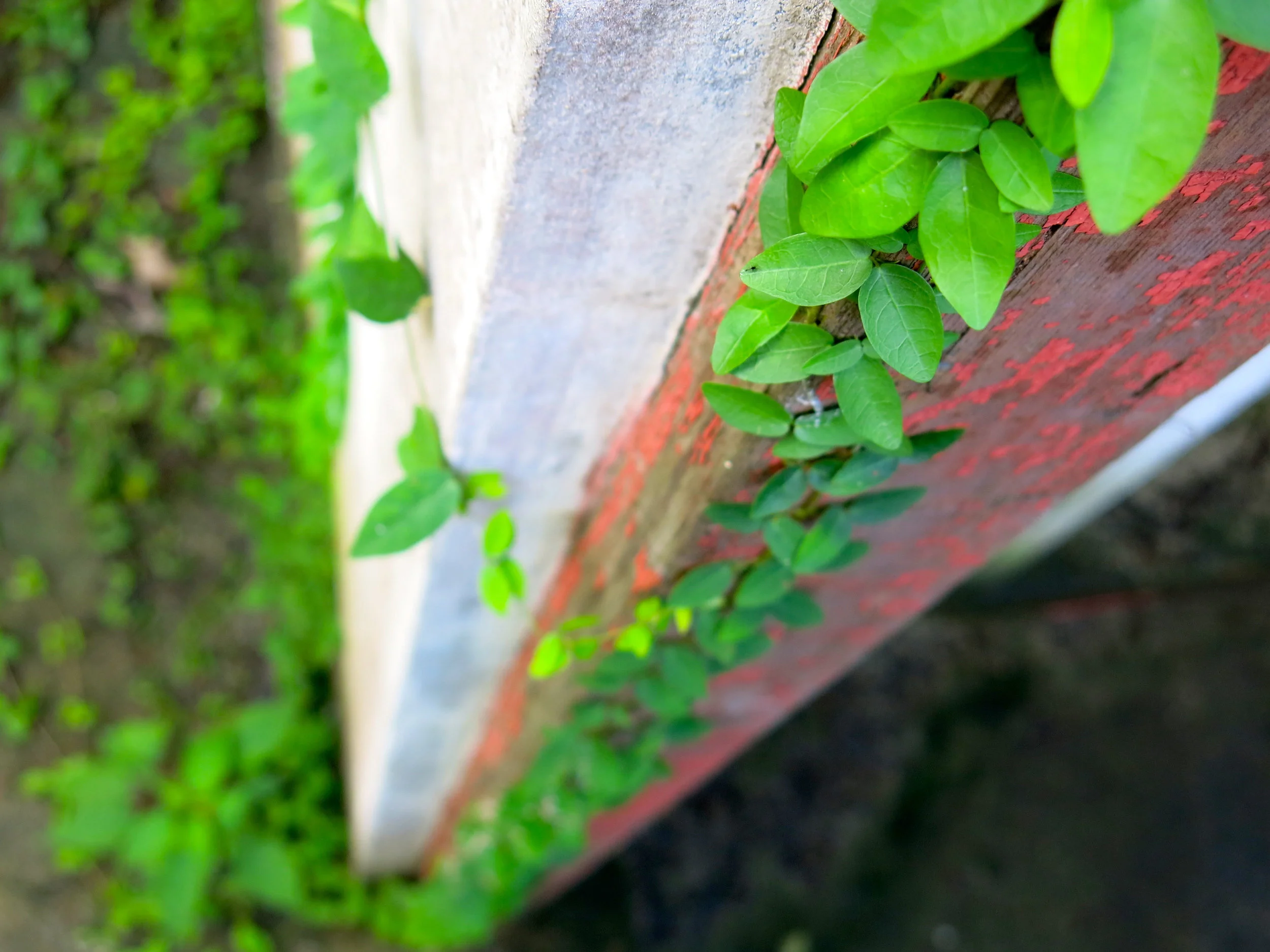 IMG_2198 - Version 2.jpg