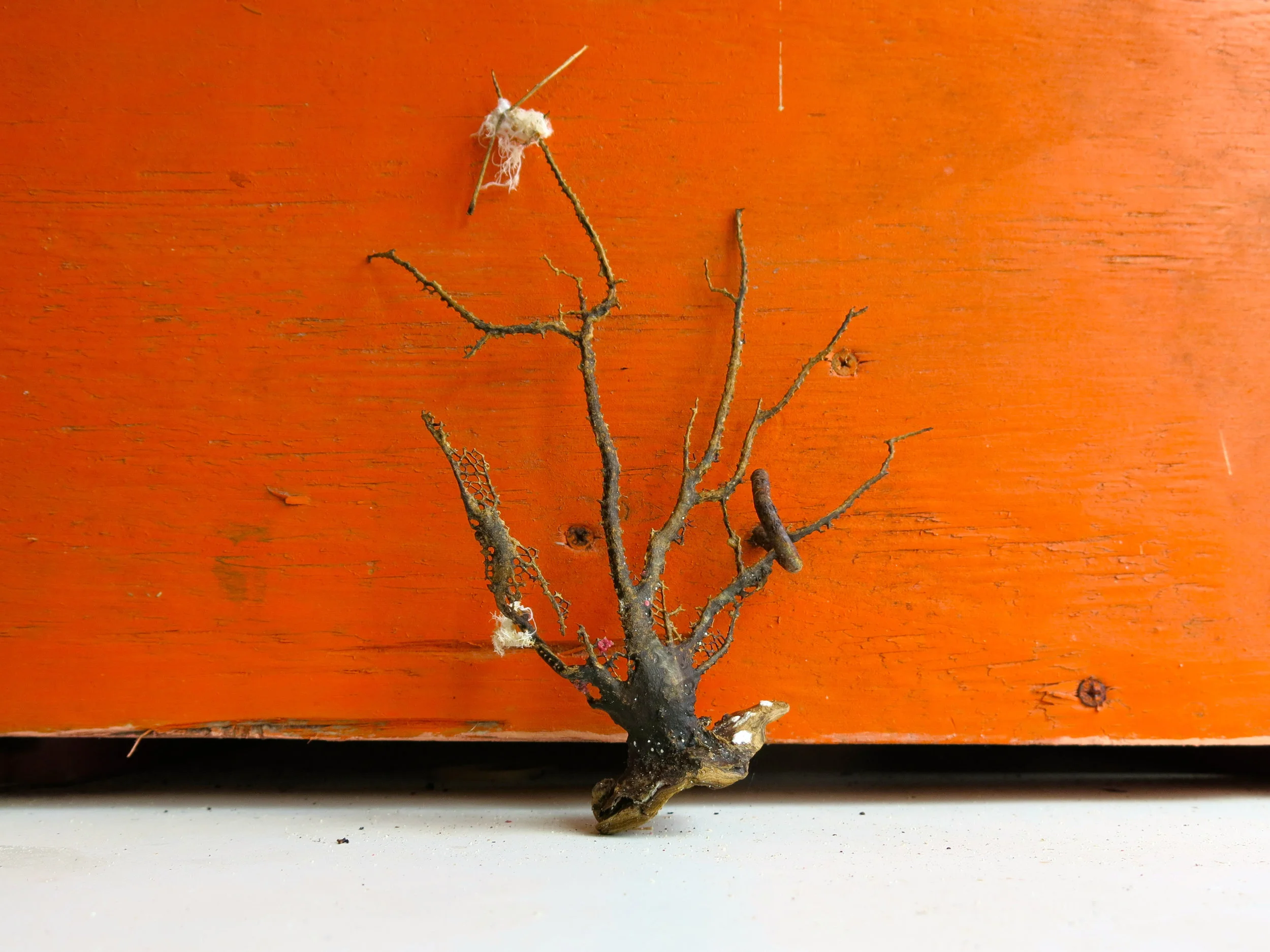 IMG_2402 - Version 2.jpg