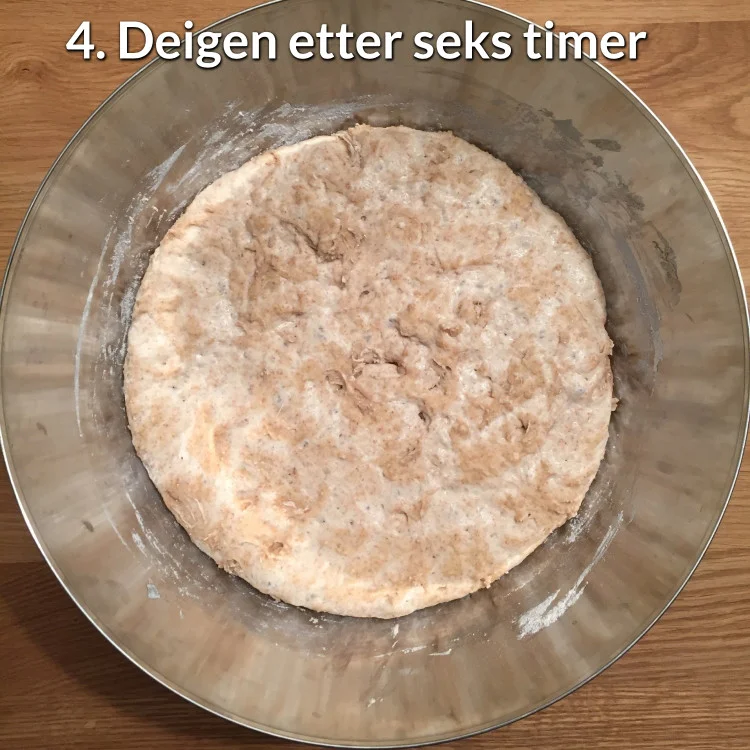 hevet_deig_etter_seks_timer.jpg
