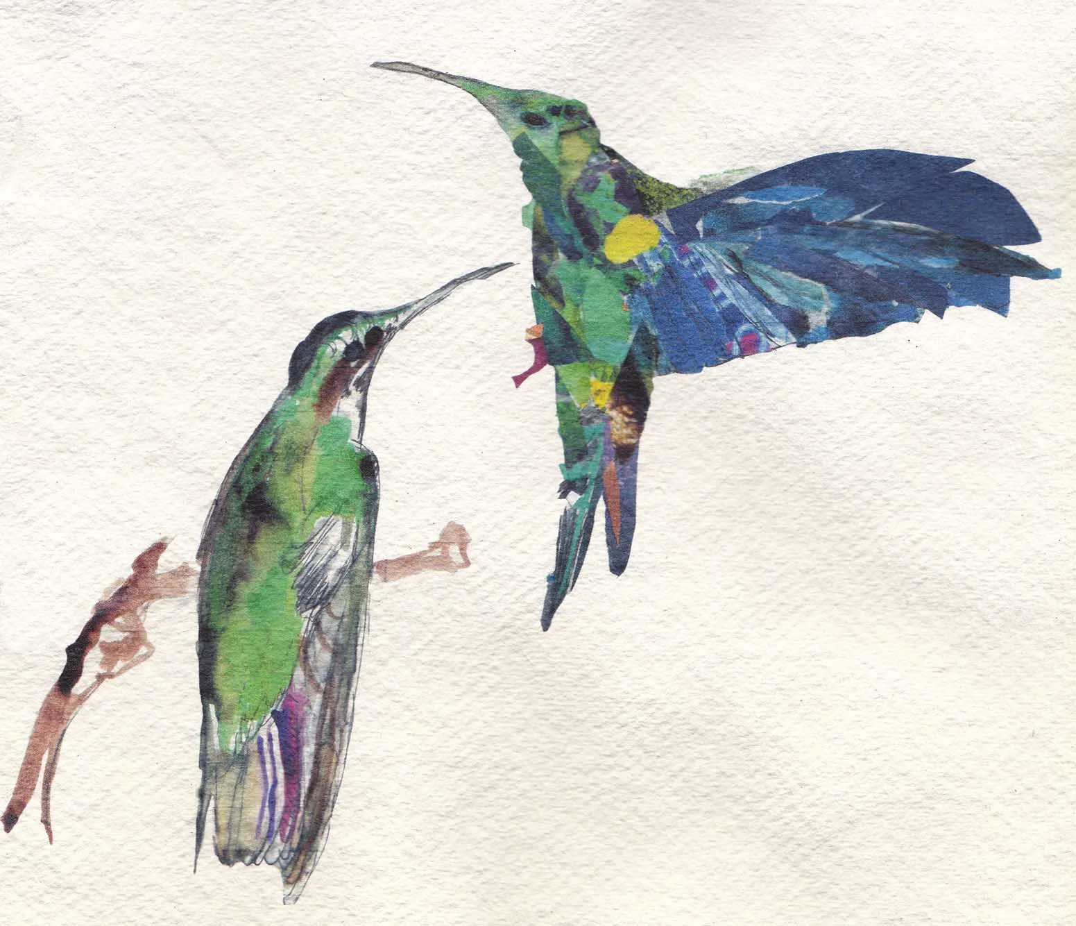 hummingbird couple.jpg