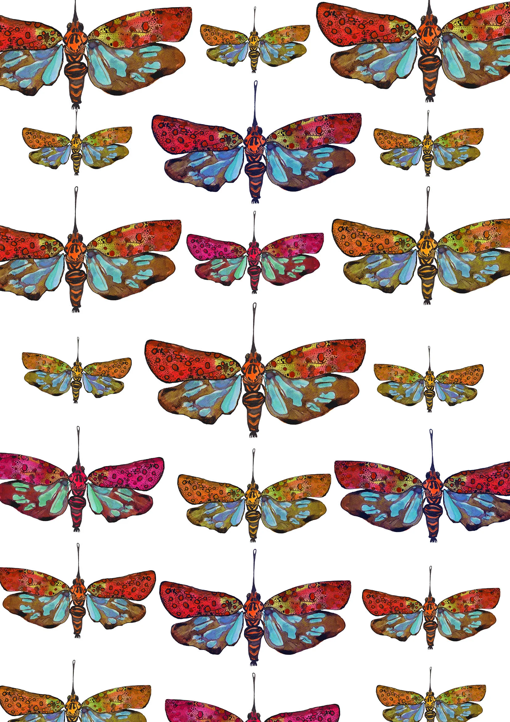 lANTERN FLIES