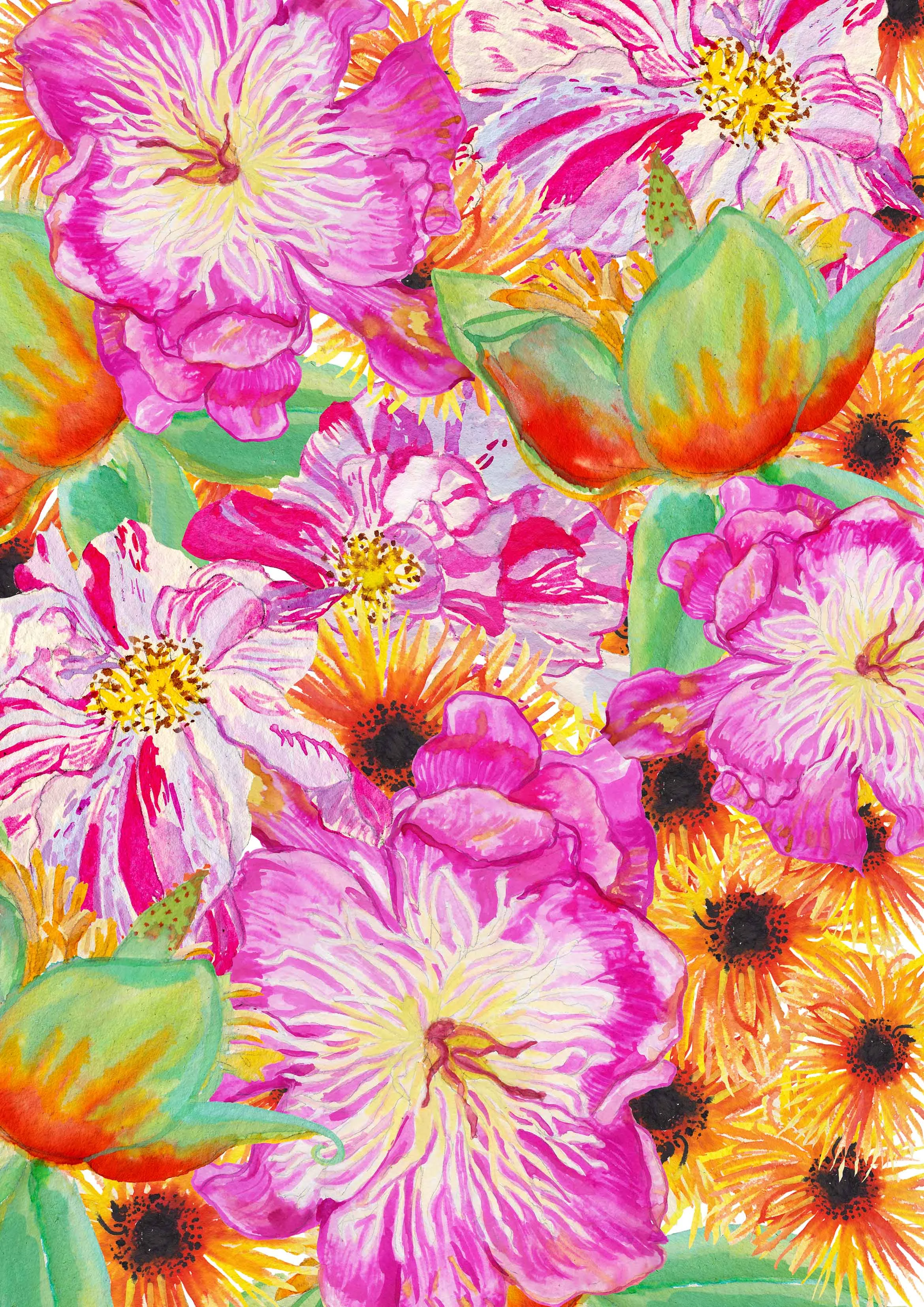 Peonies, Tulip Tree Flowers & Rosa Mundi