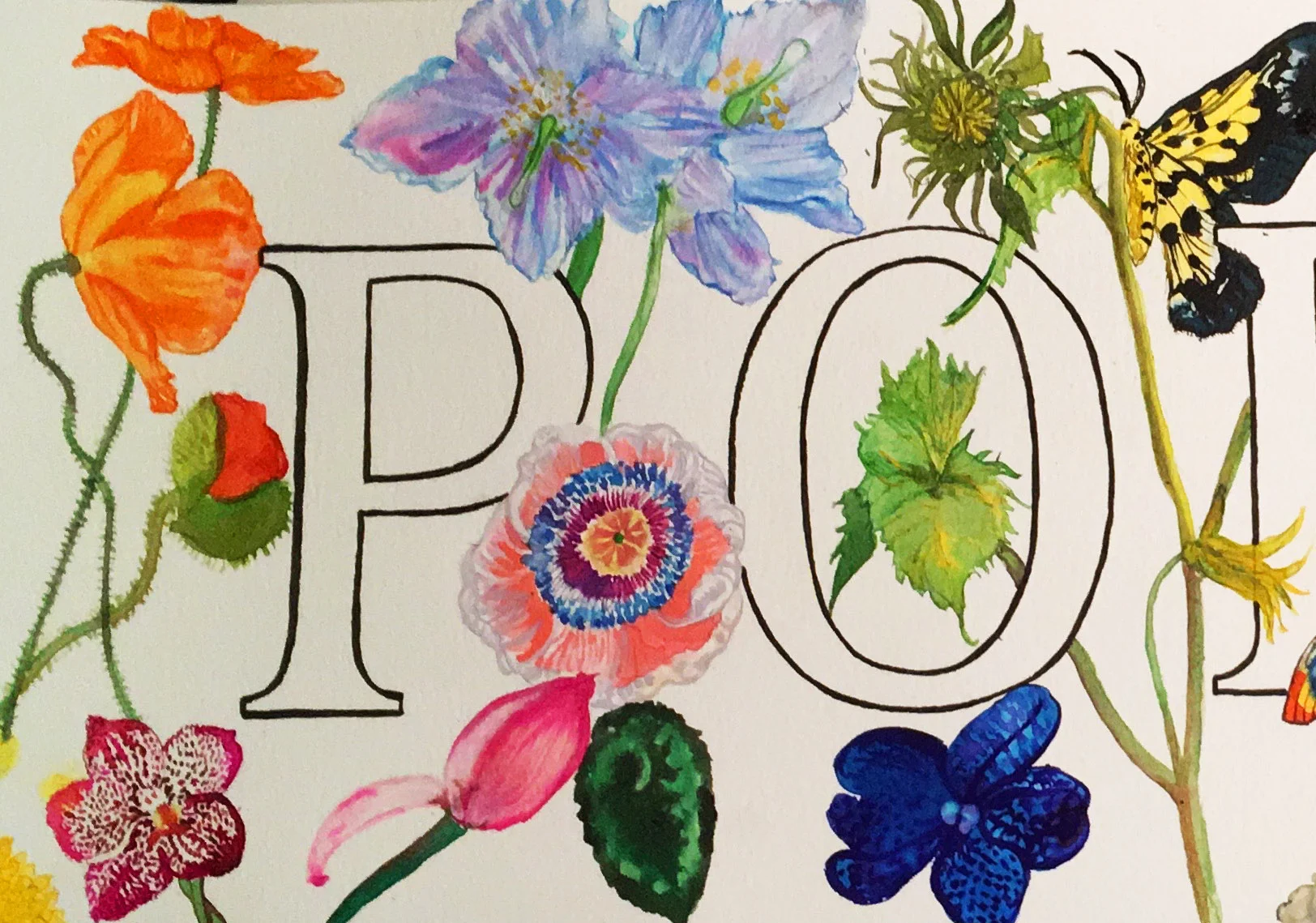 Personalised Name Illustration