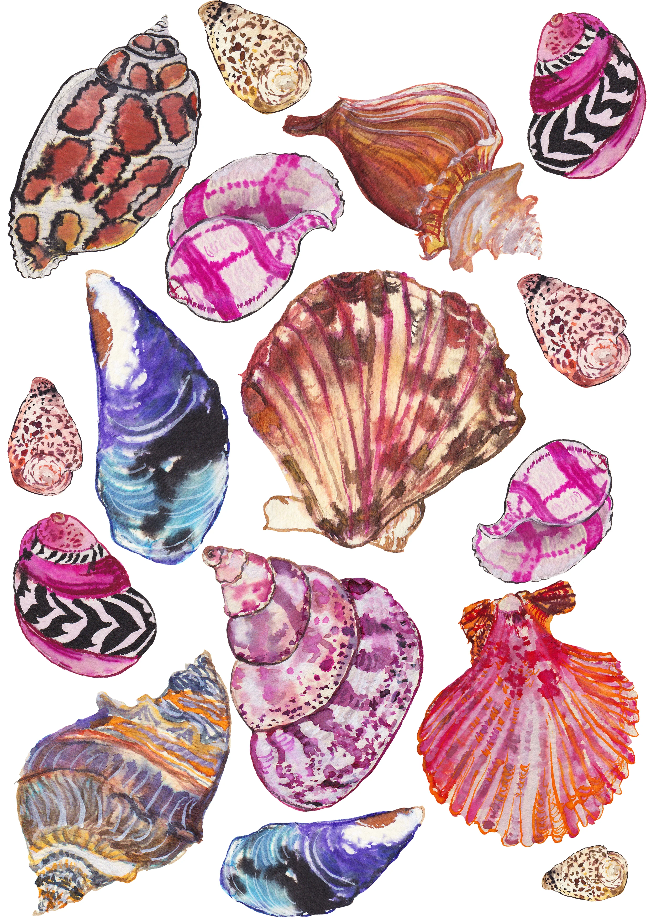 Shells