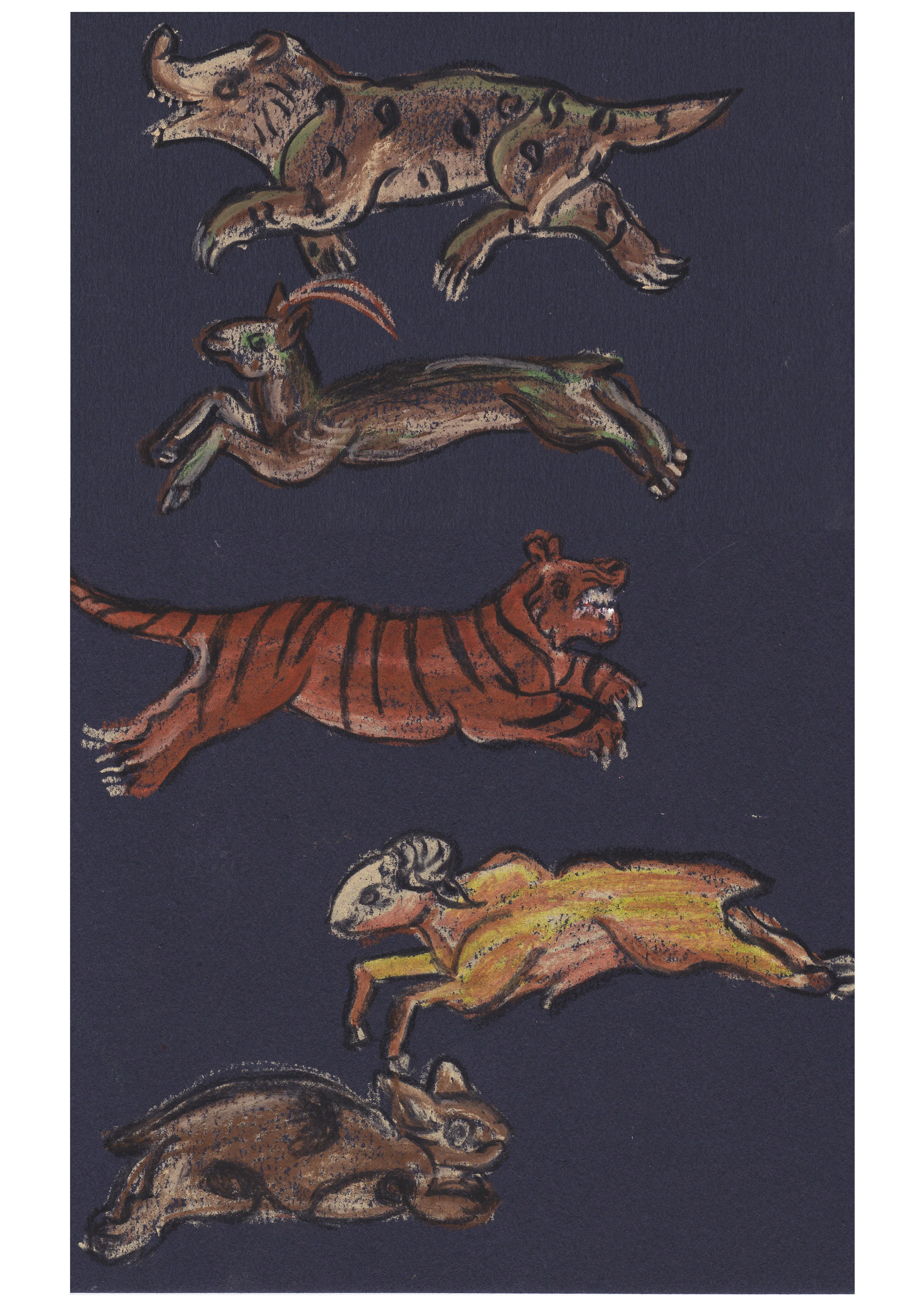 Indian Animals