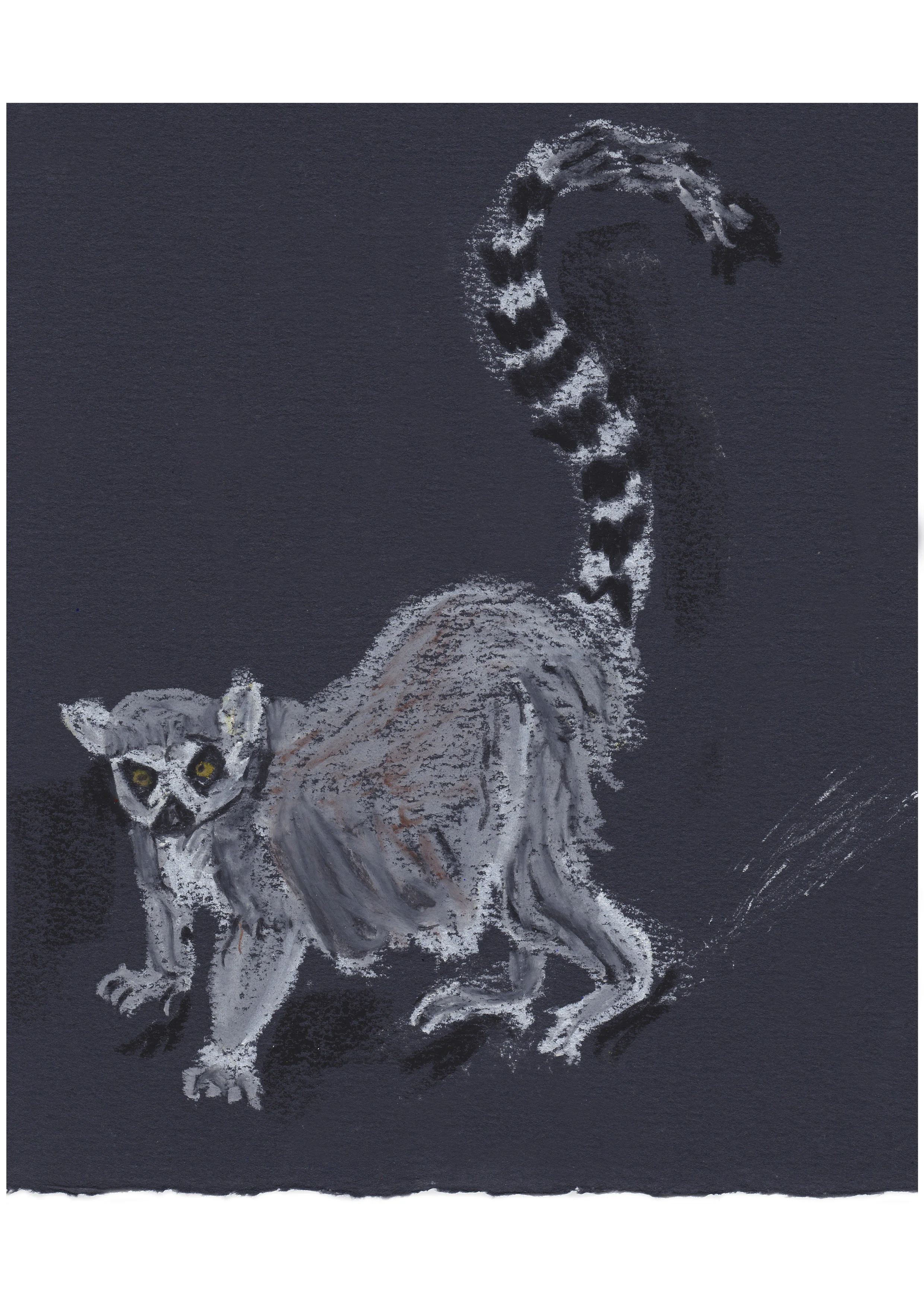 Lemur