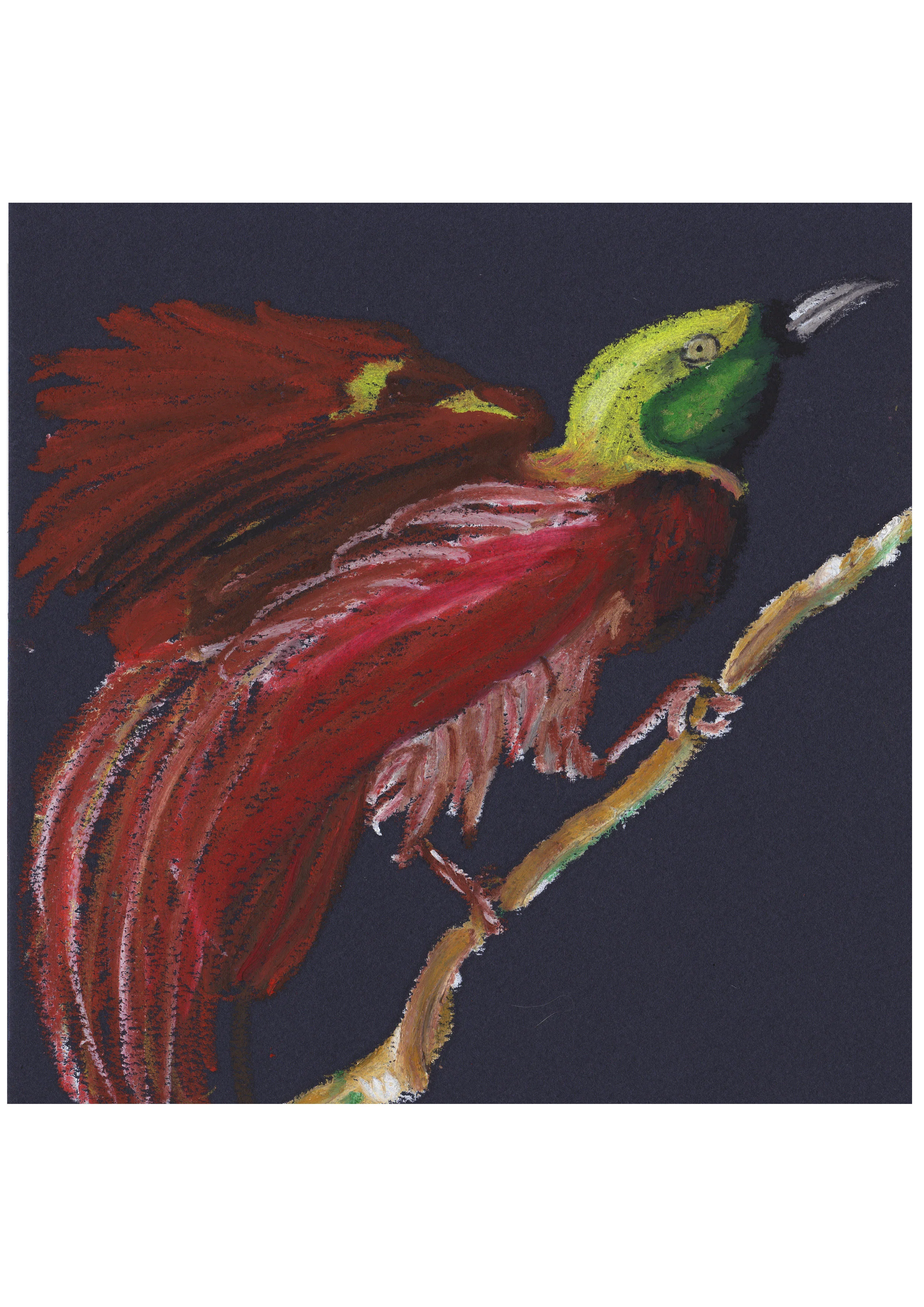 Pre-Discovery Count Raggi Bird of Paradise