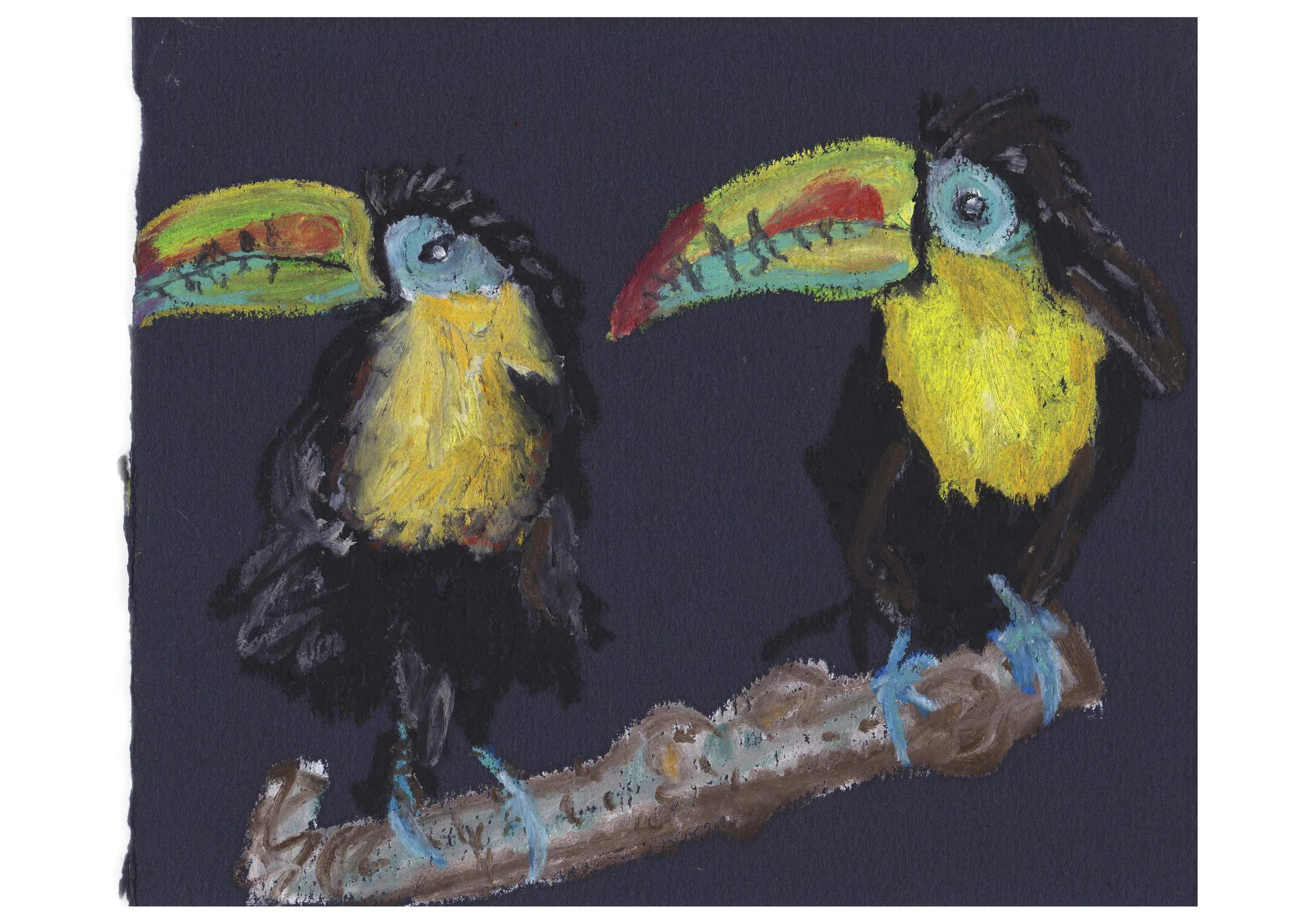 Two Toucans