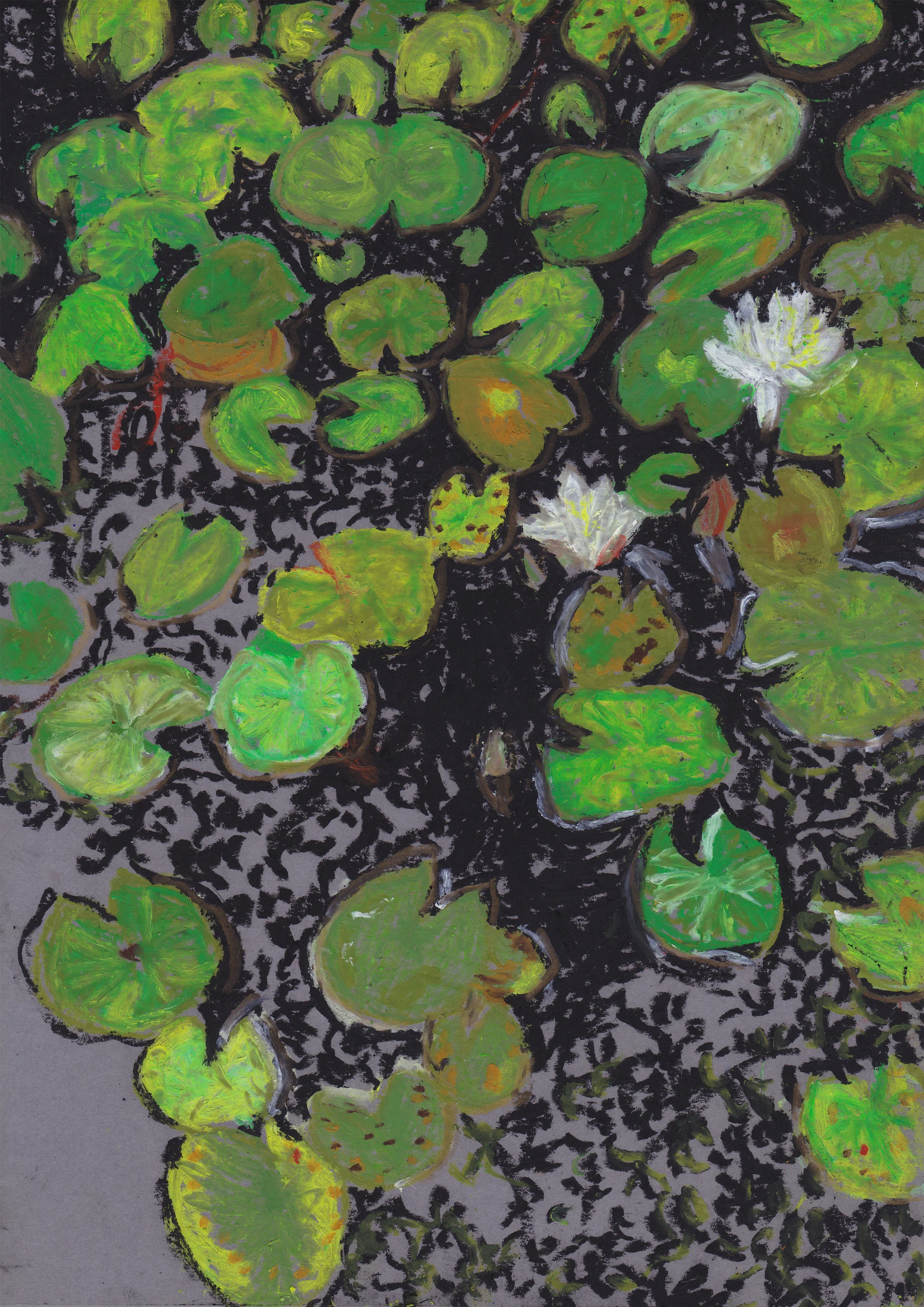 Lily pad tree reflections