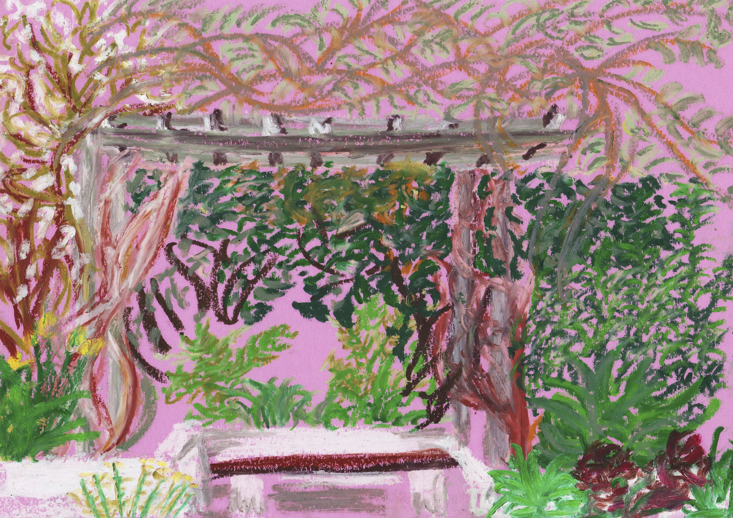 Wisteria Pre Bloom