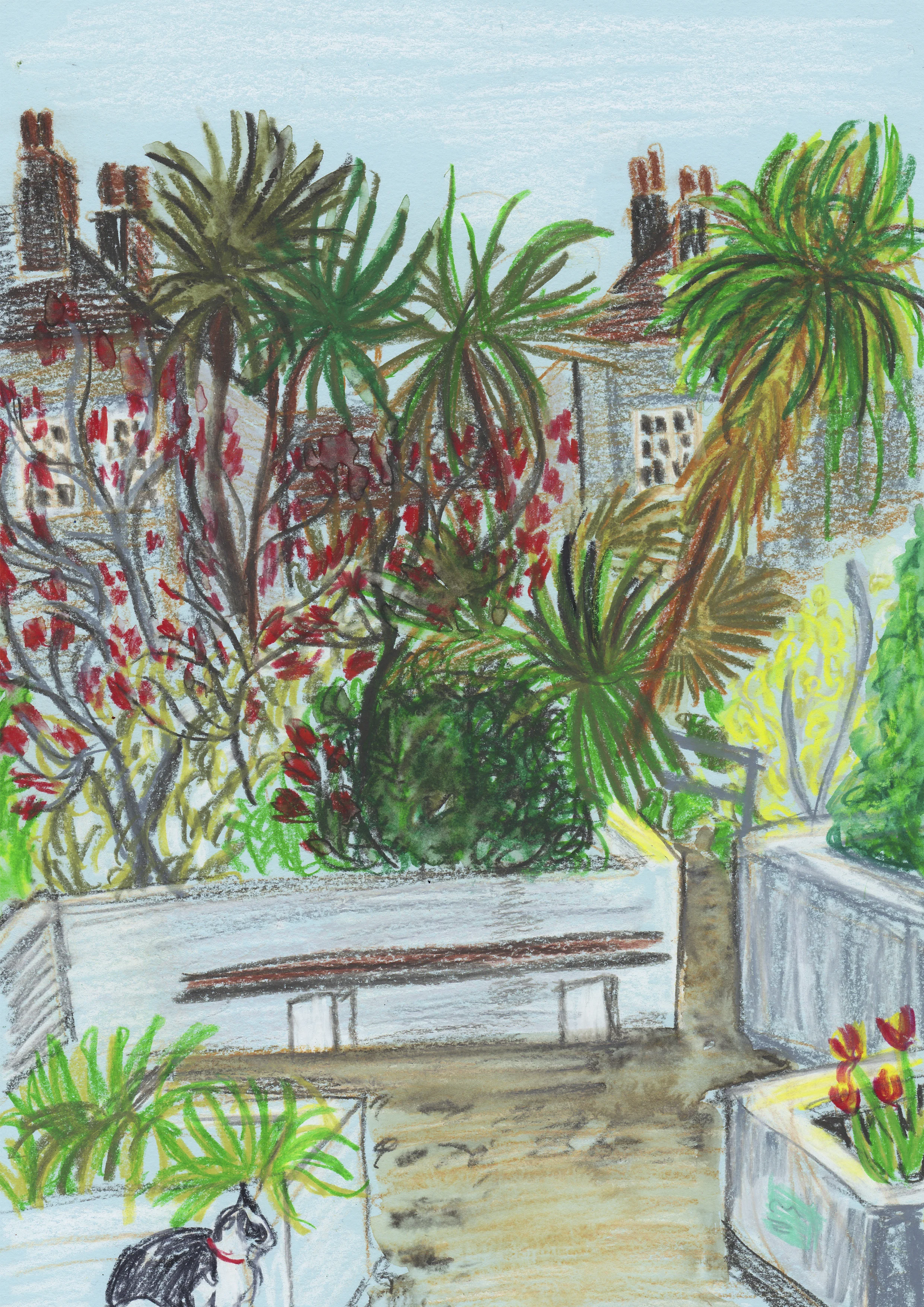 Cat in the Tropical Courtyard Walworth