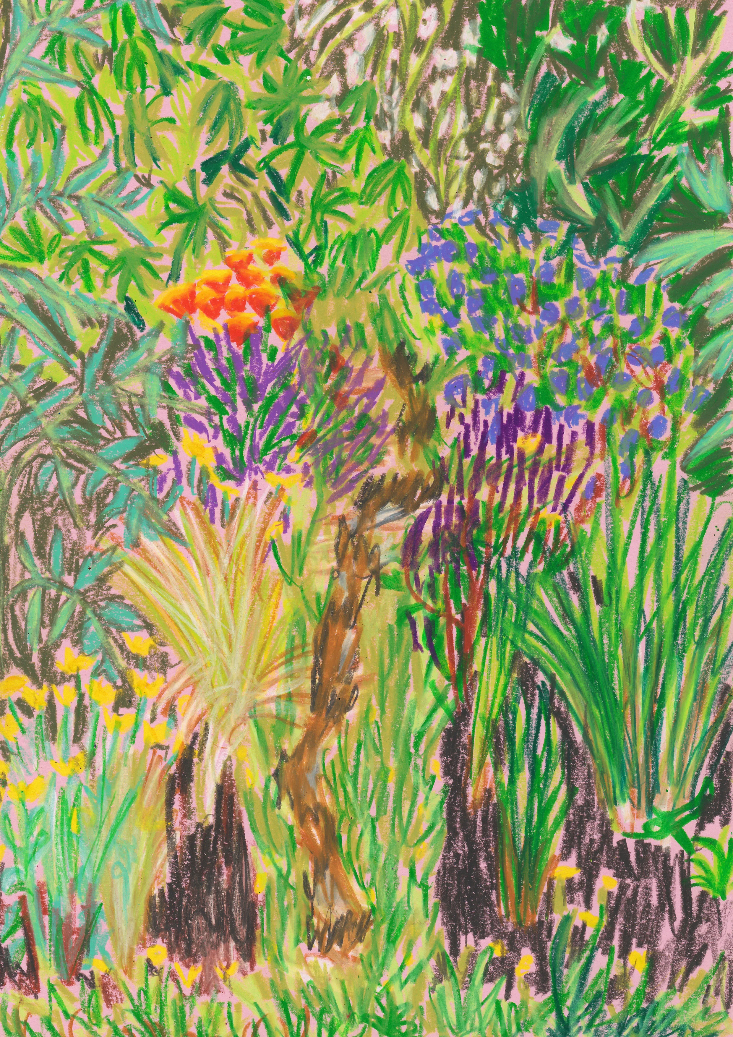 Ruskin Park Flower Garden