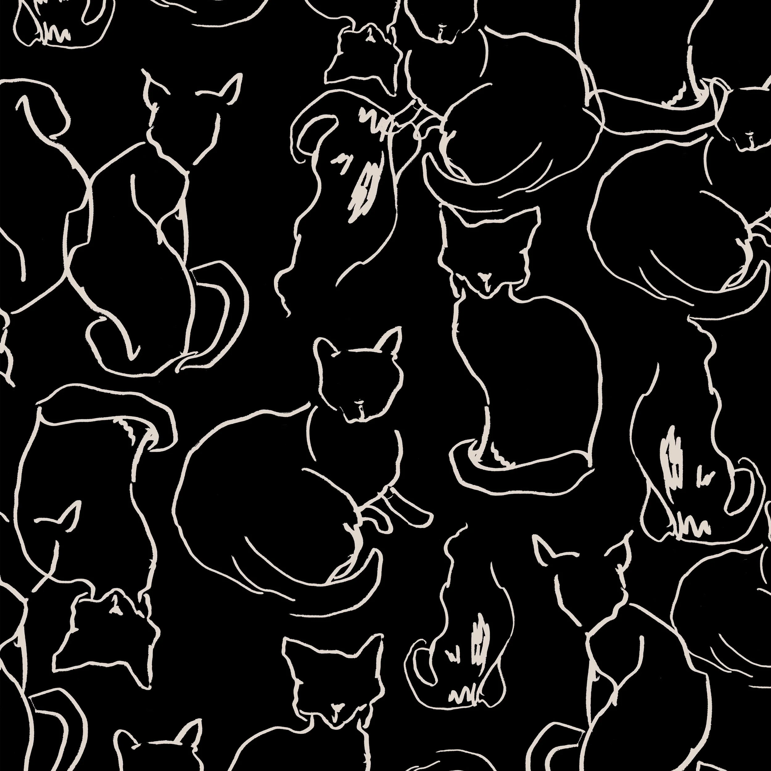 cat print.jpg
