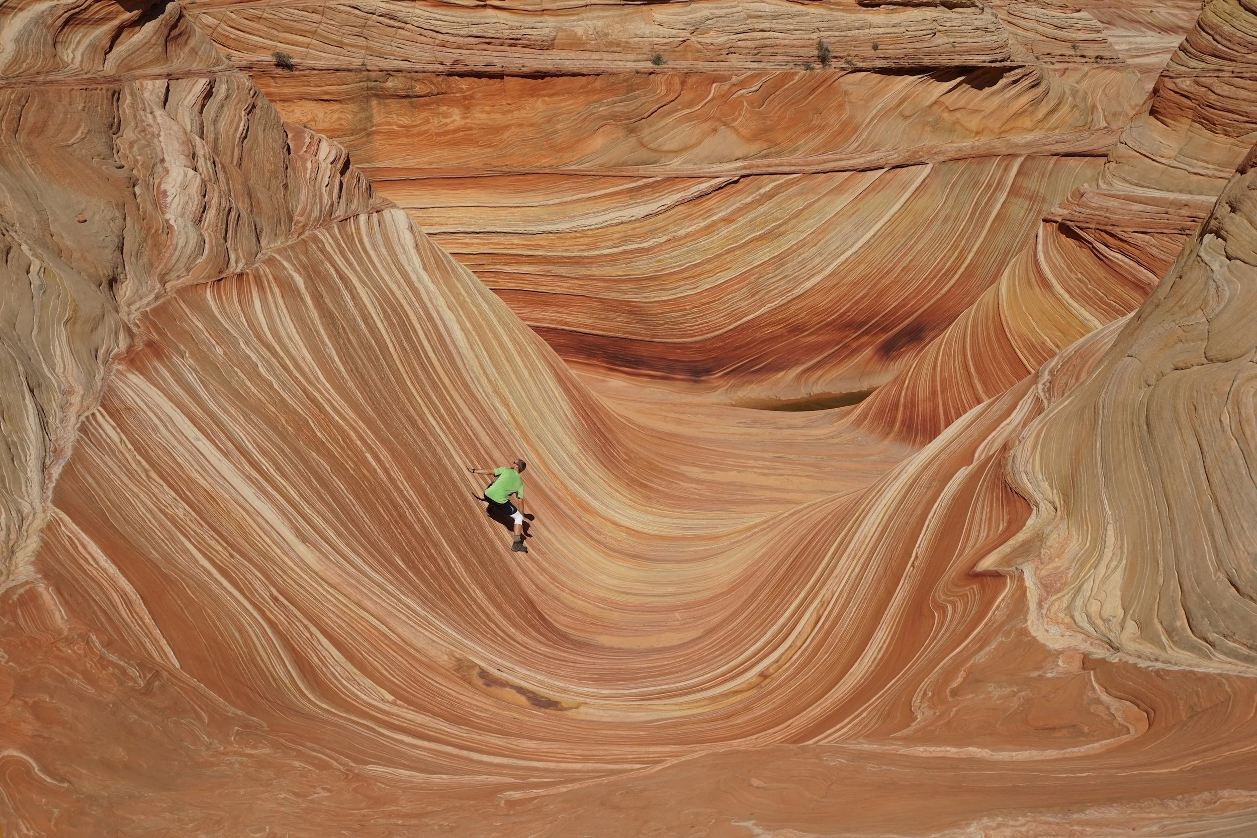 We Won the Wave Lotto!