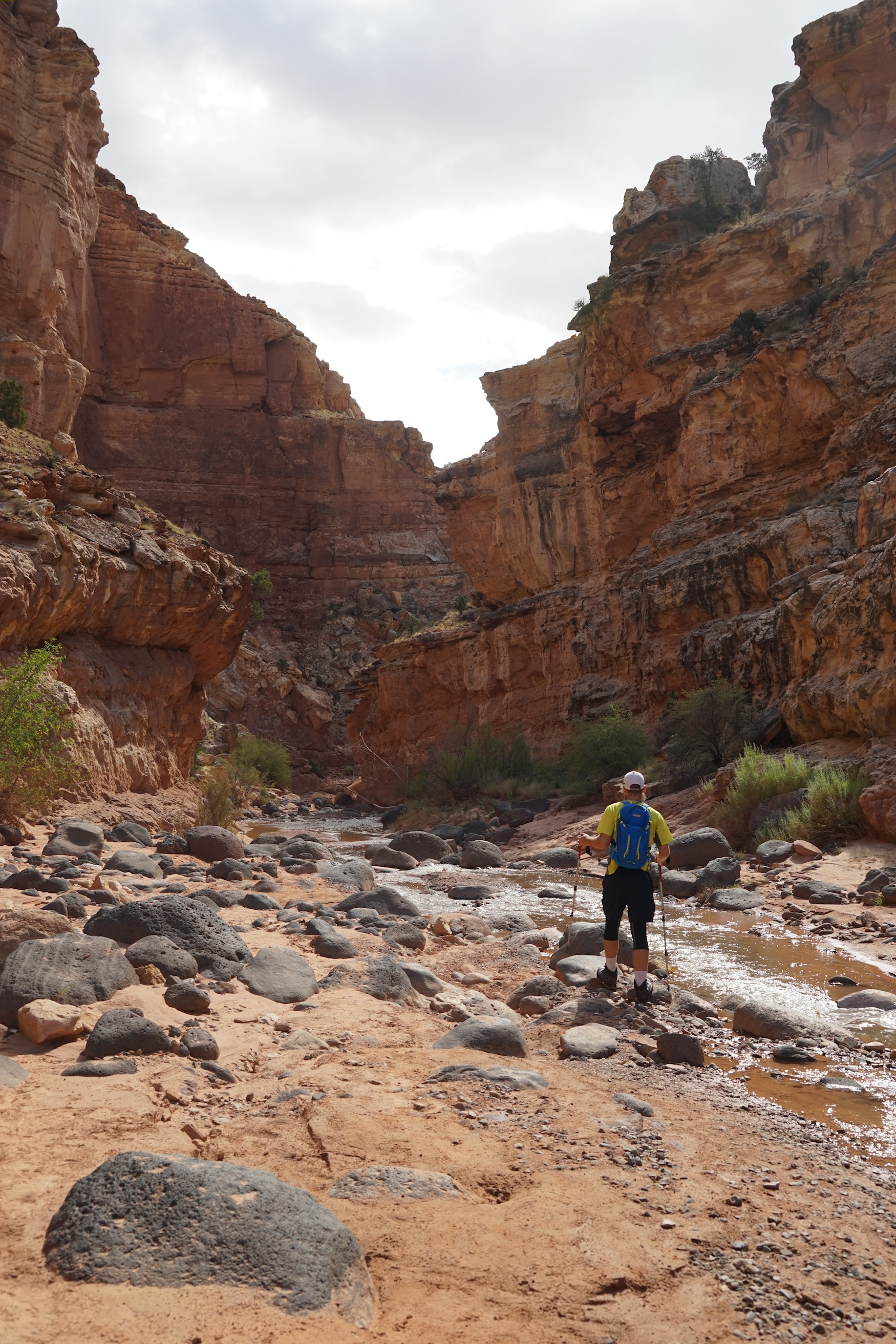 Sulfer Creek Capitol Reef National Park 