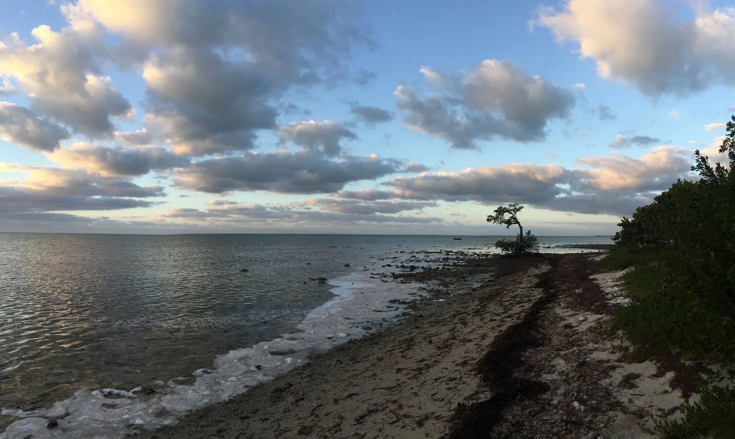 The BEST of the FL Keys + Everglades