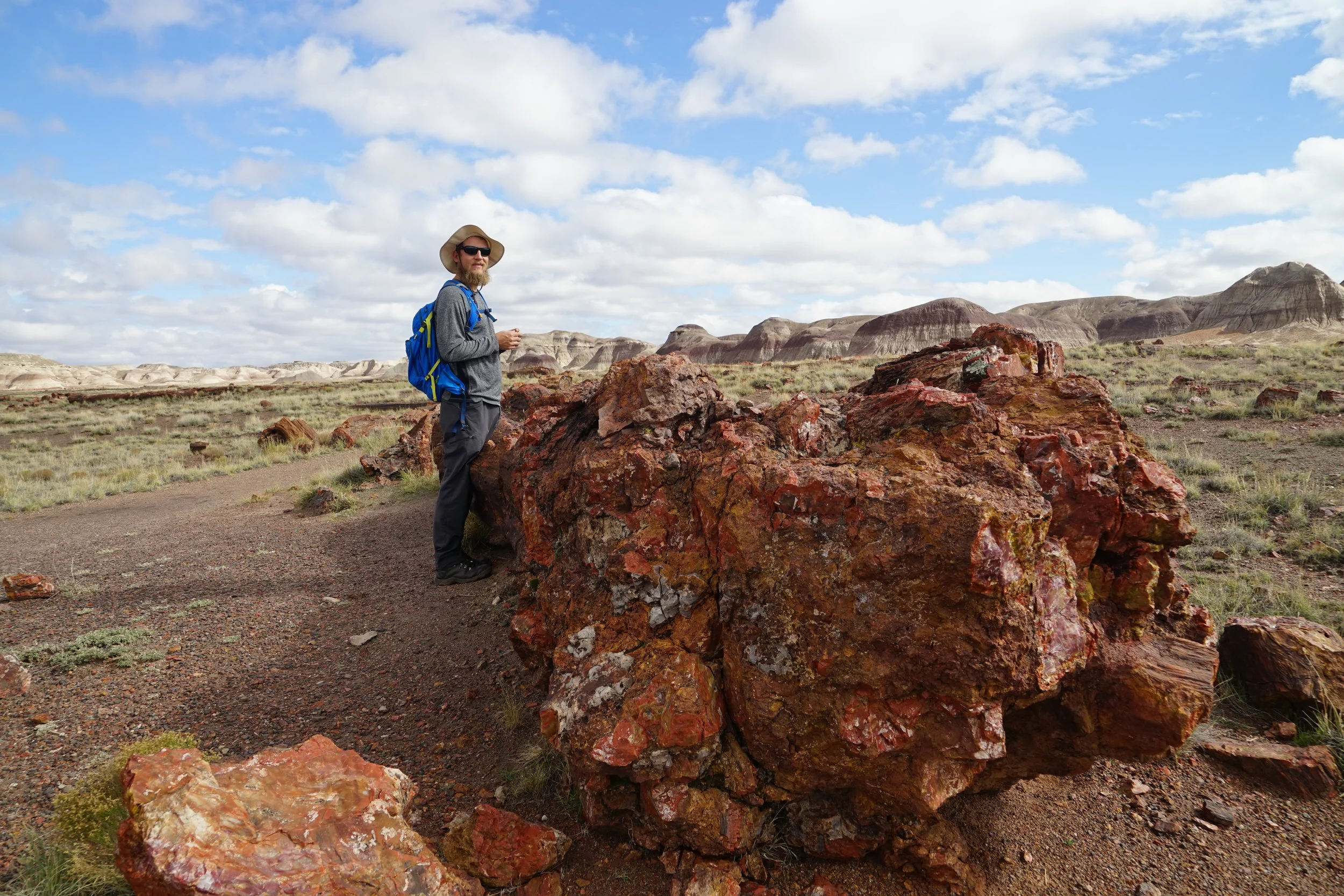 ABQ to the Petrified Forest