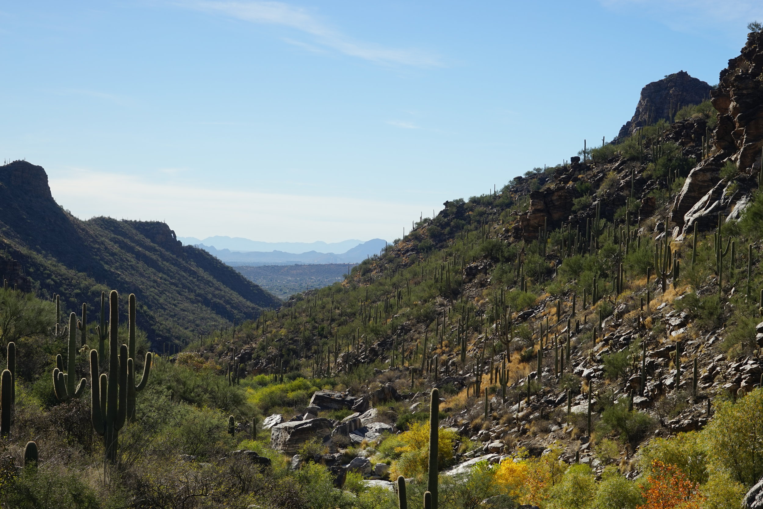 Moochdocking in Tucson, AZ