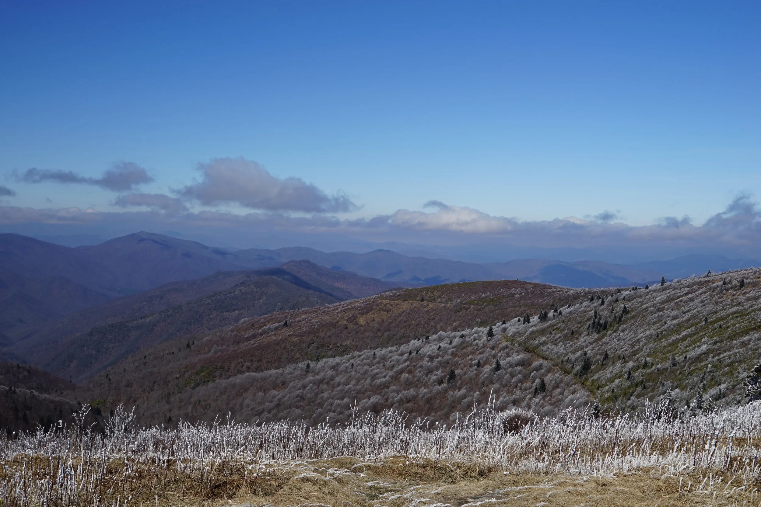 Black Balsam Knob
