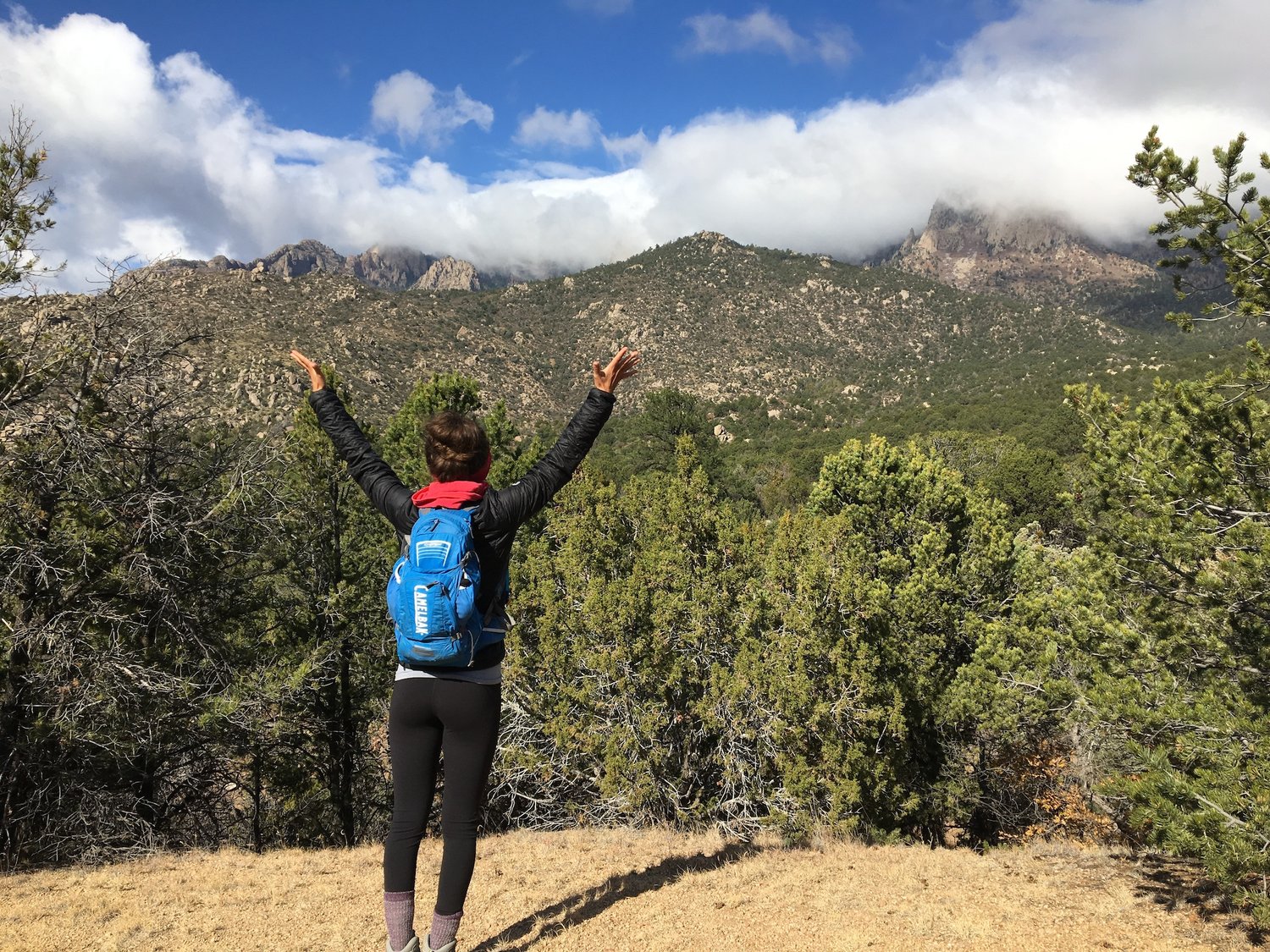 The Land of Enchantment... Or Should I Say Entrapment...