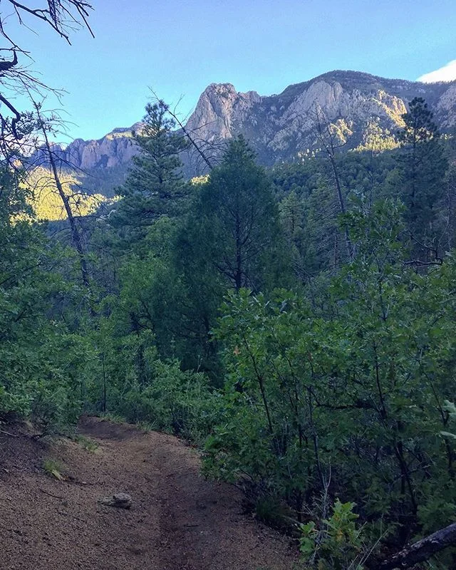 Absolutely the best way to start the day. Sunrise &amp; a wide open trail in the mountains. #trailrunning .
.
.
.
.
.
#trailchat #trailrun #trailrunners #trailwalker #mtnchicks #sheexplores #travelstoke #sandiamountains #trueabq #nmtrue #nmoutside #v