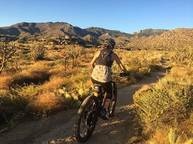 ✌️