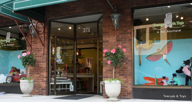 teacup and toy pets boutique