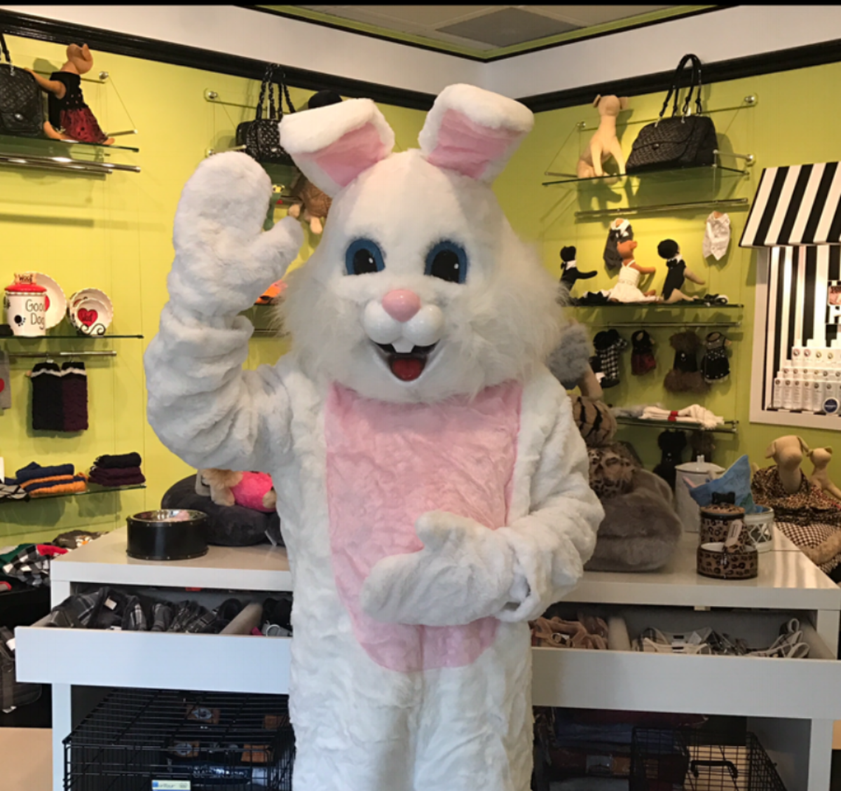 PRODUCT — Teacups & Toys, a Pet Boutique