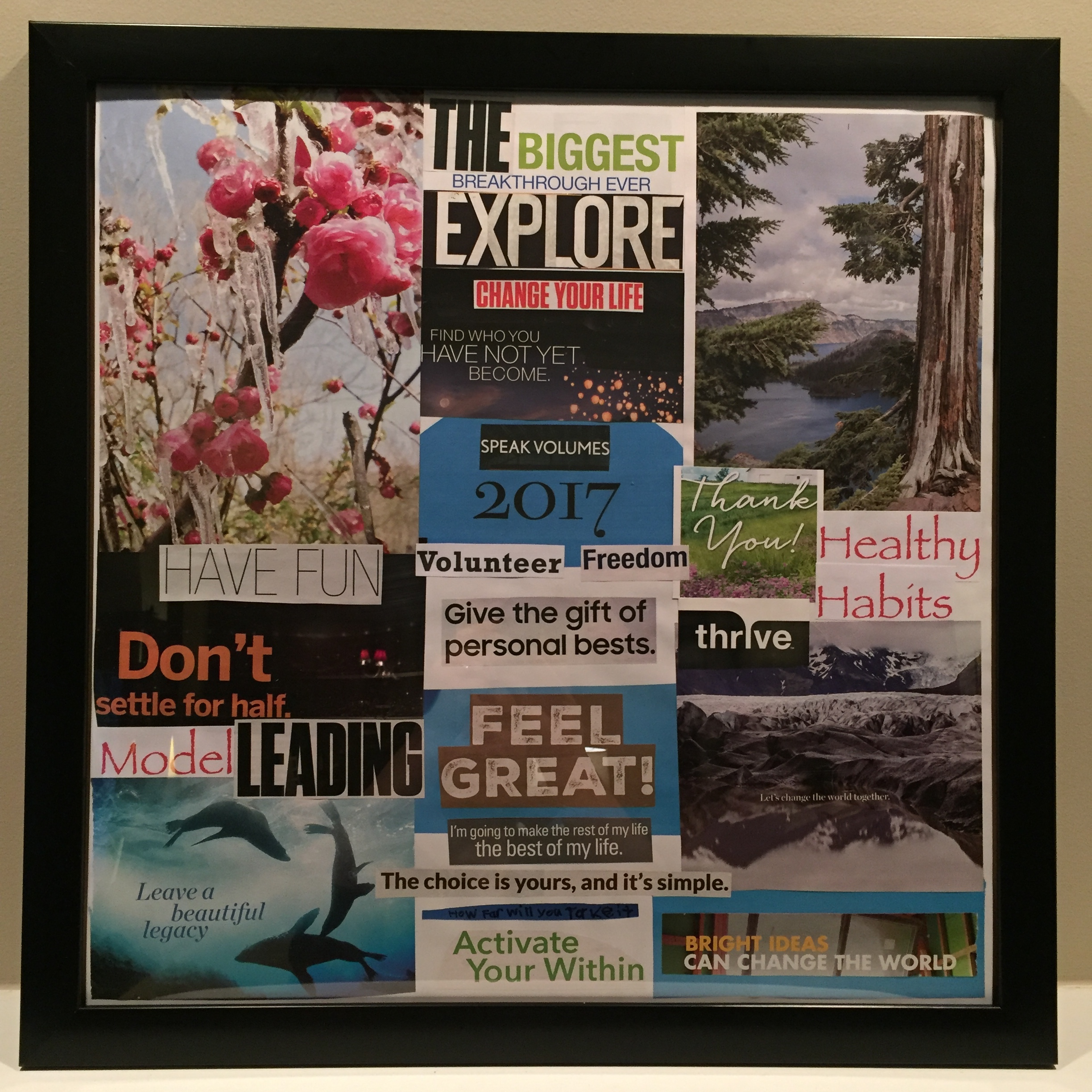 My completed 2017 vision board.