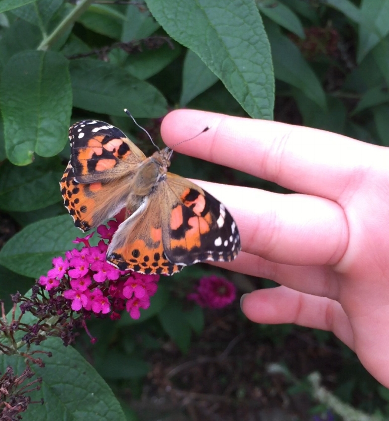 My daughter with one of the butterflies on her finger.