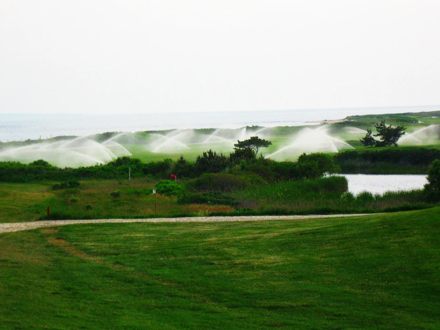 George E Ley Company