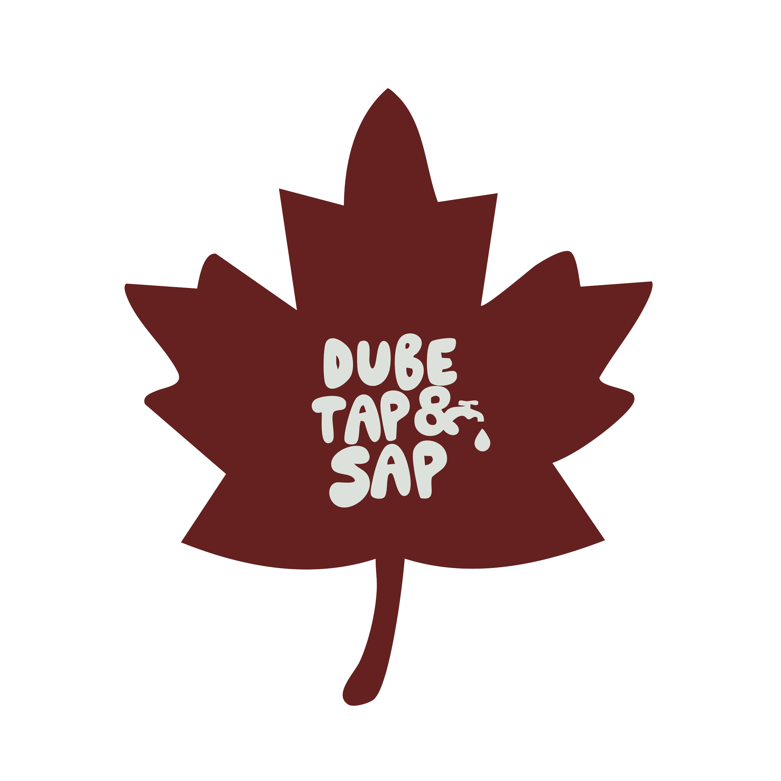 DT&S.png