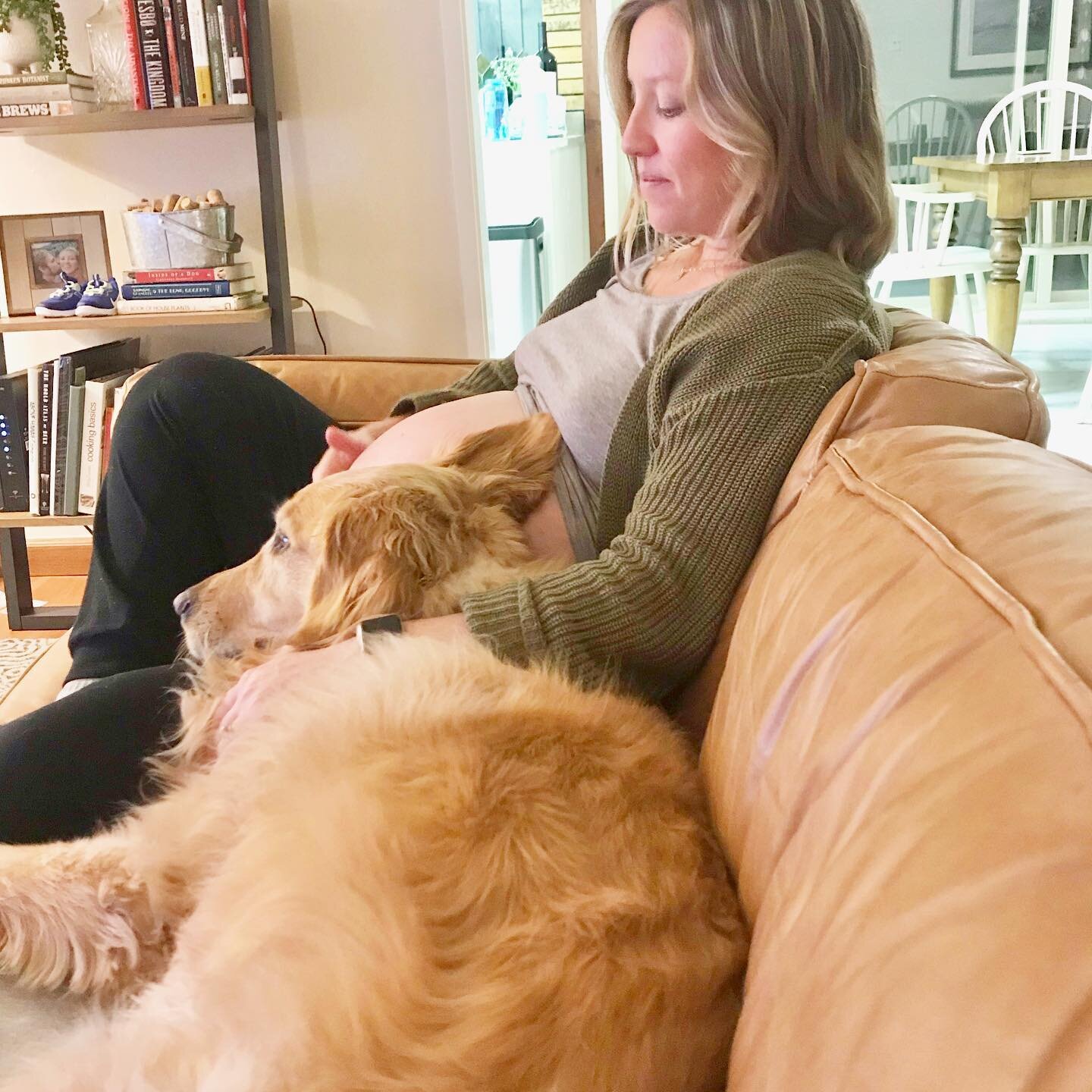 What&rsquo;s that thing rolling around in there? I&rsquo;ll have a listen to figure it out. #goldenretriever #dogsandbabies #lifeisgolden #leroycain