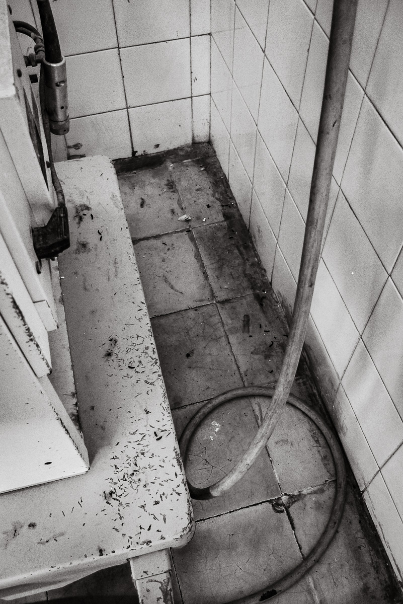  The surgical suite was also infested with insects and rodent droppings were everywhere, in no small part due to the abundant water supply on the floor. 