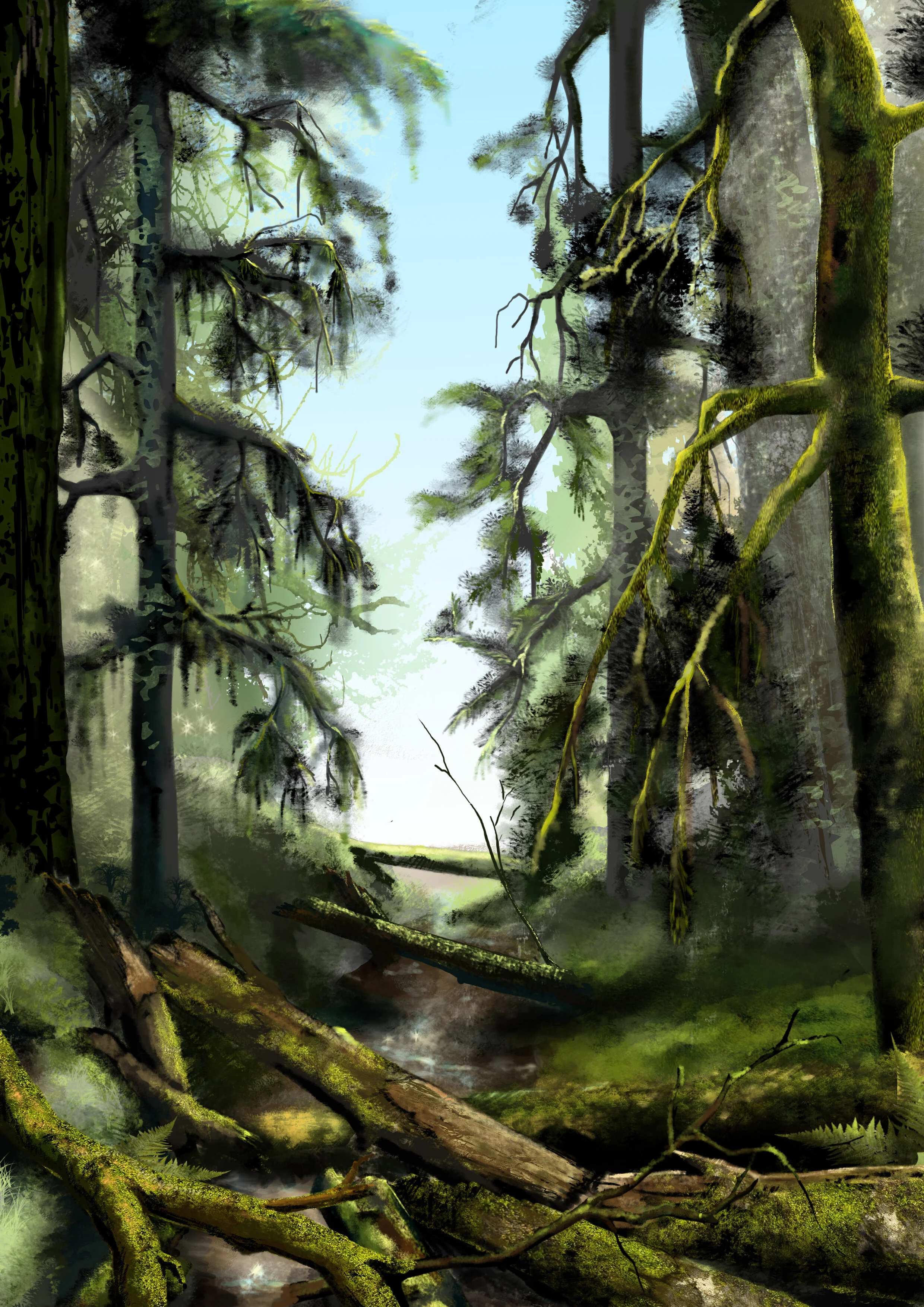 Forest 2.jpg