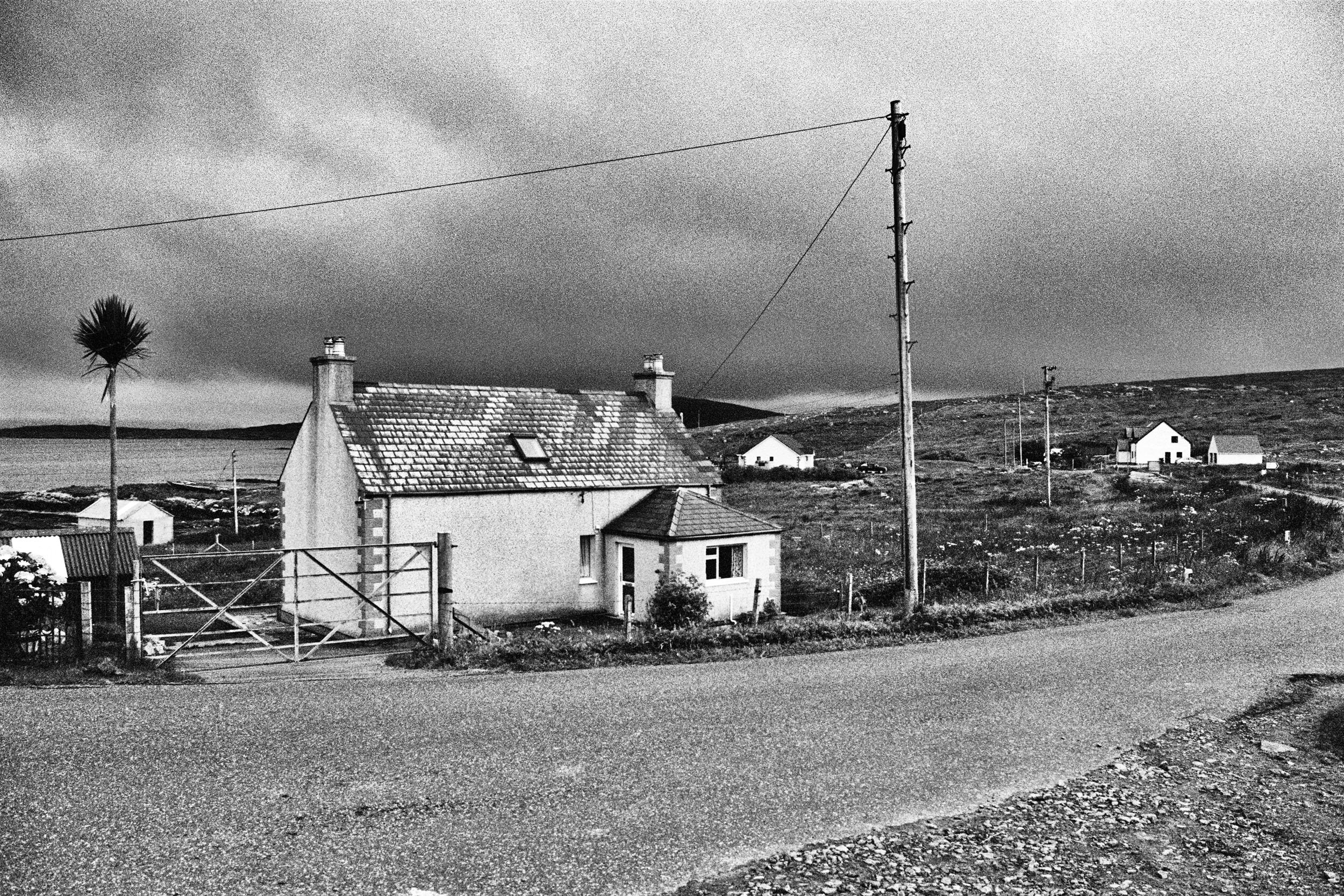  House with Palm Tree and Telegraph Pole, Isle of Berneray, 2018 