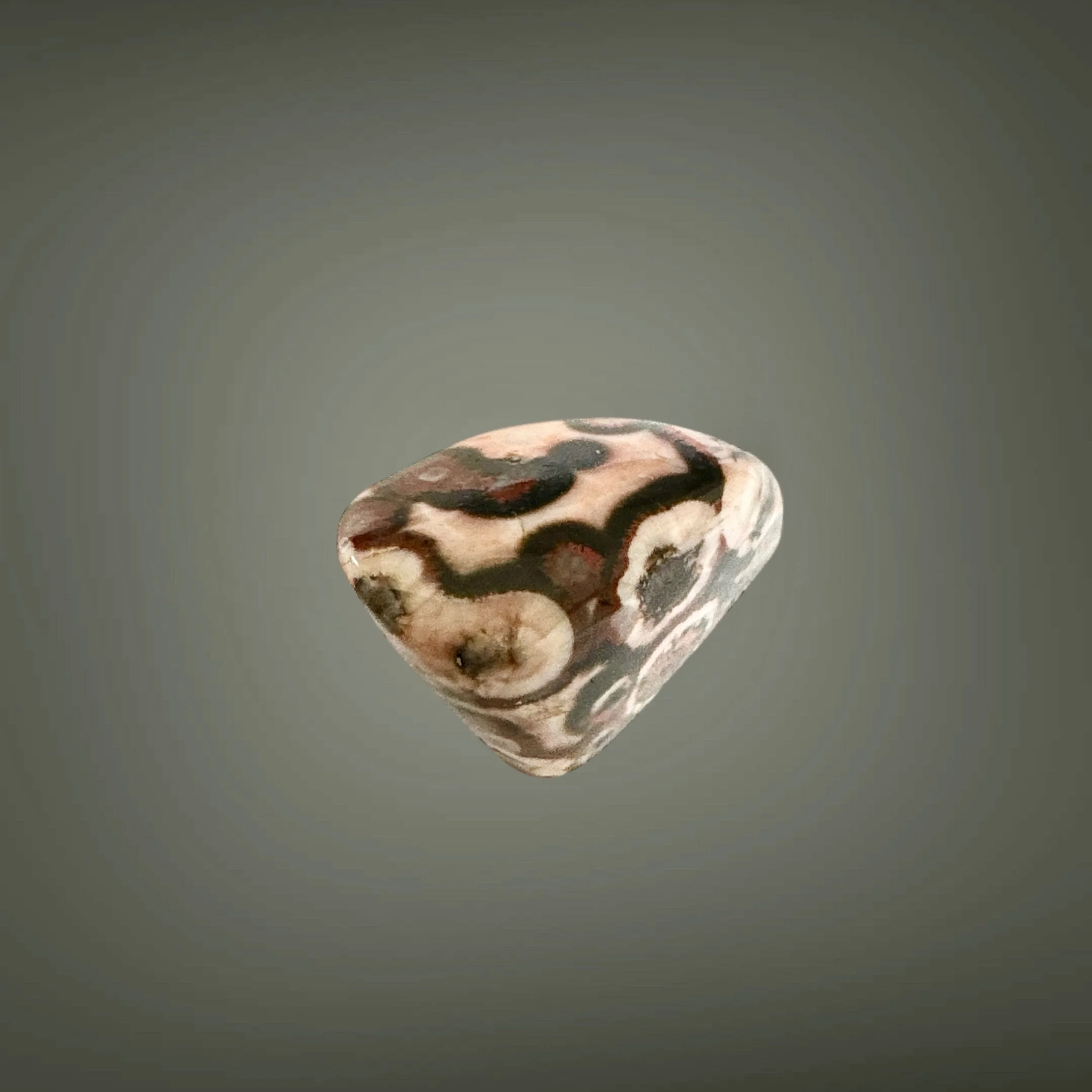 3D5629D0-4A89-4167-82FB-37F6605D0F72.jpeg