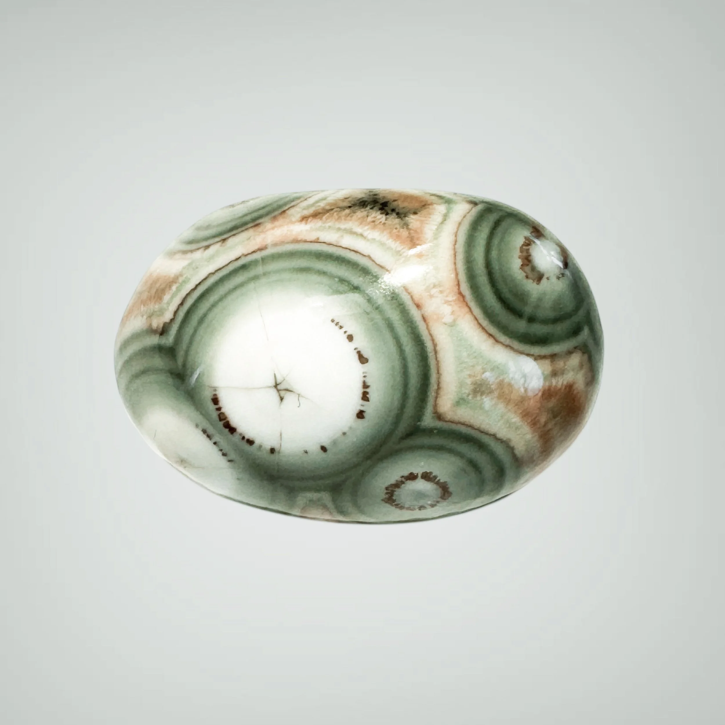 Photoroom_20250721_164555 copy.jpg