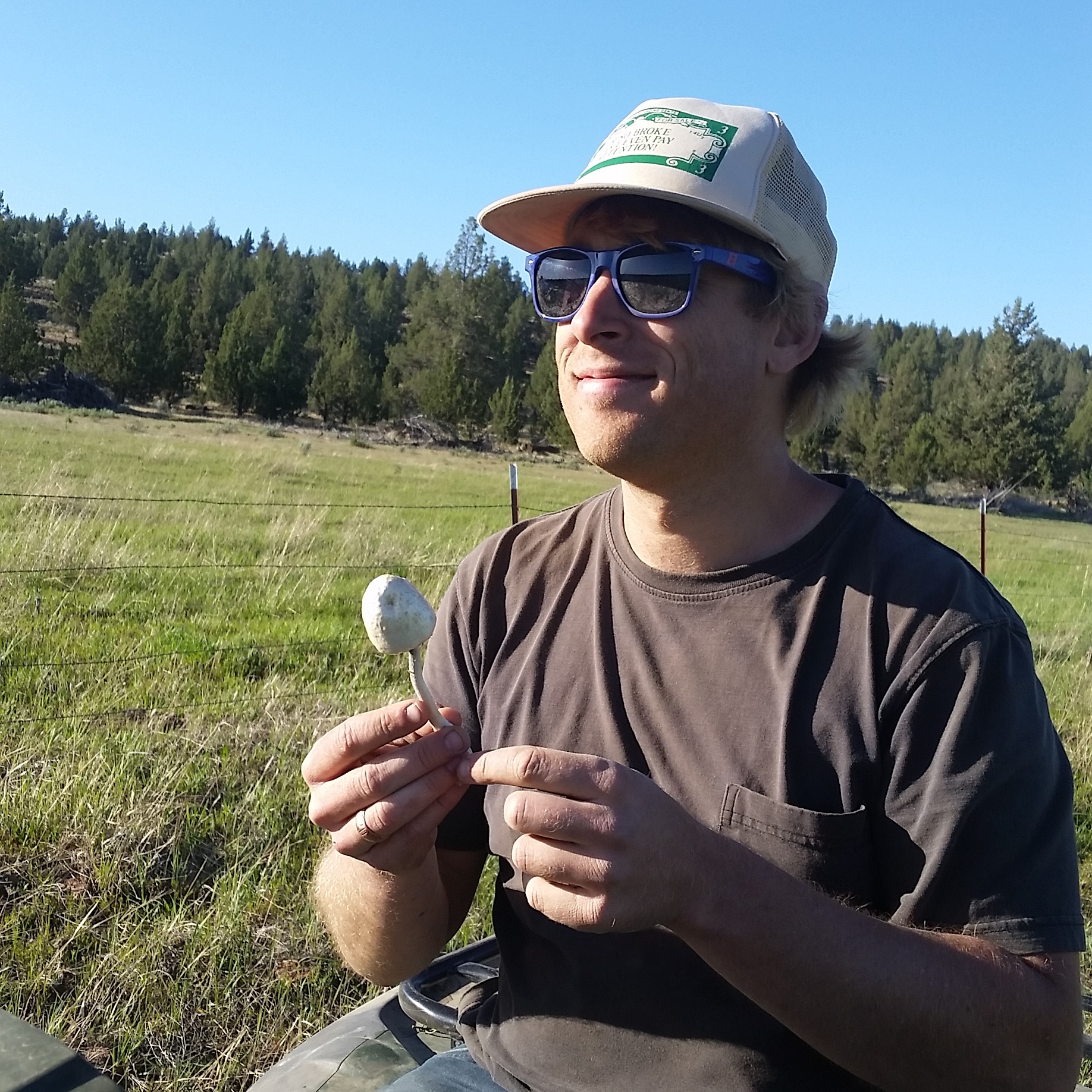 Bud Wilson trying his hand at dried up mushroom identification!