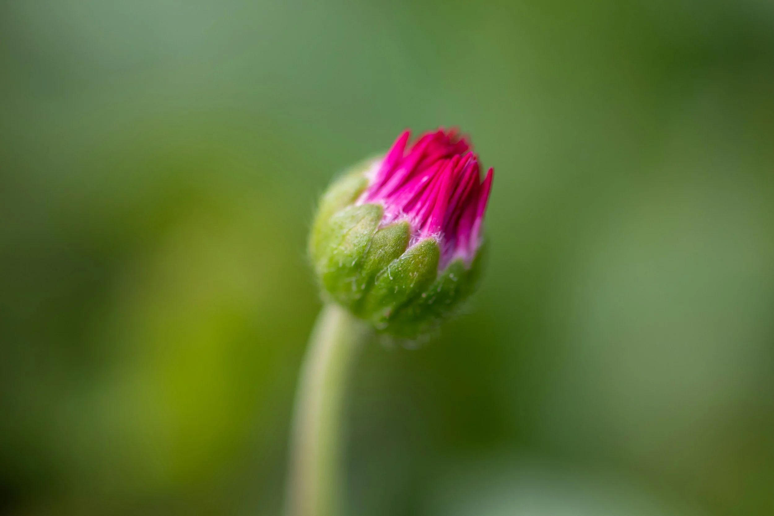 unsplash-image-QD9ommAr6aQ.jpg