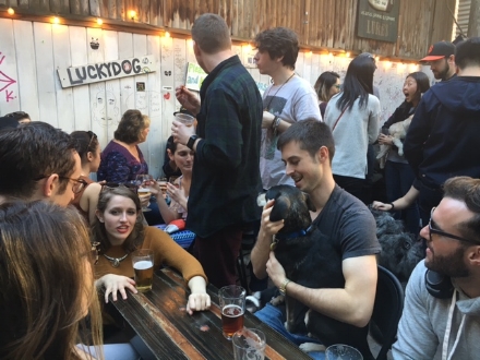 The author snuggles a pooch at Lucky Dog. 