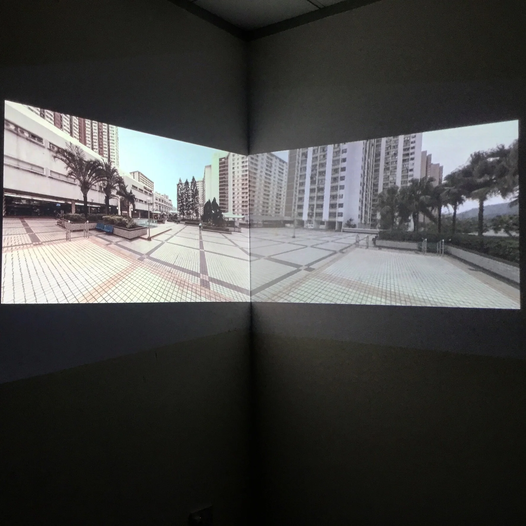 ESS at Mana Contemporary: Cheng Lee and Vvzela Kook