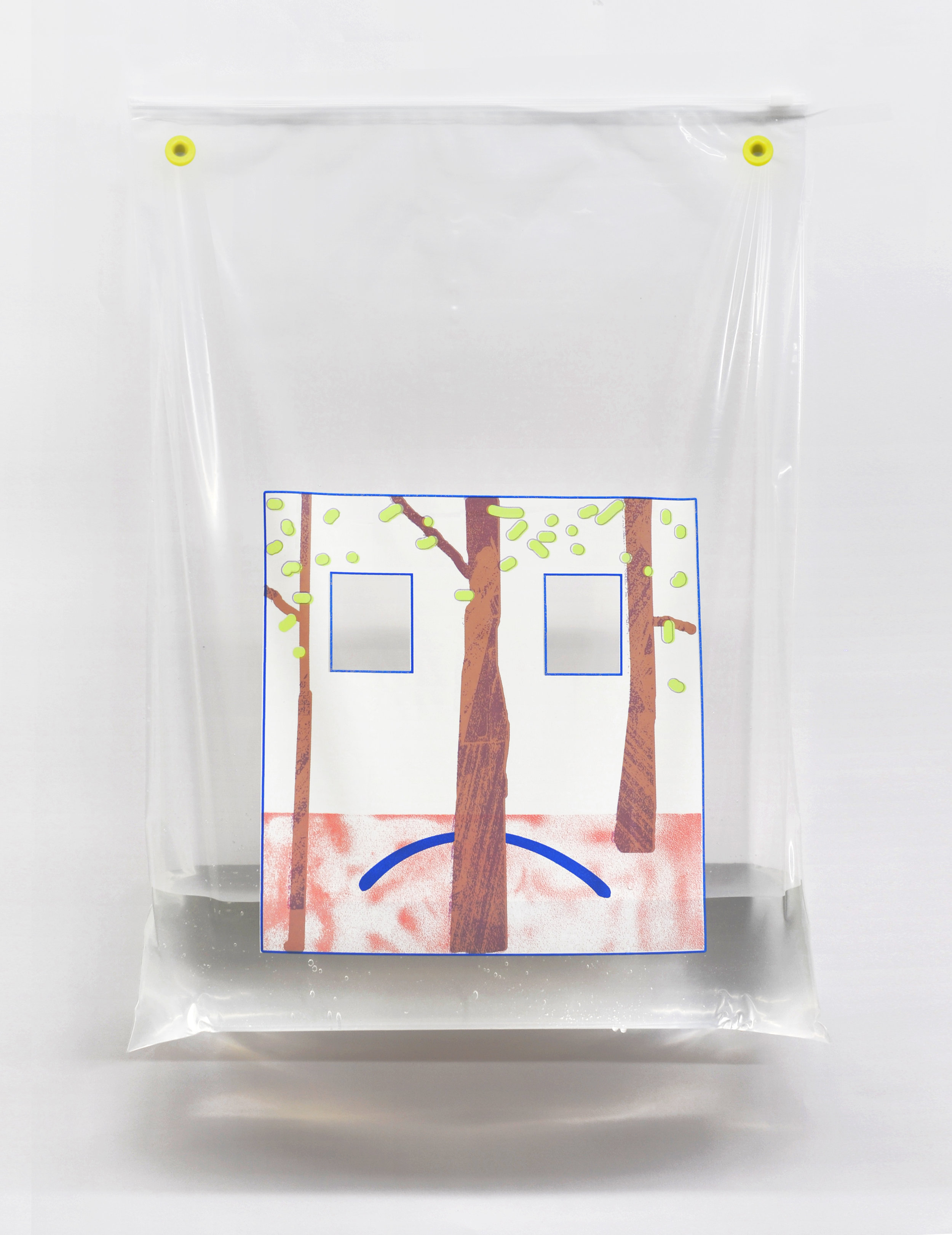 Detail from the installation "Gaussian Blur", 6-color screen print on polyethylene zip-bag by Sonnenzimmer, 2017, 24 x 18 inches