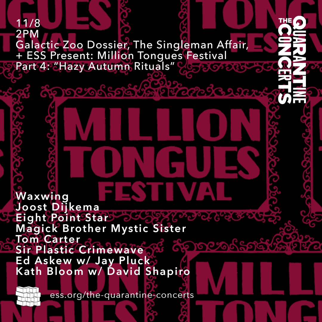 TQC: Million Tongues Festival Part 4: Hazy Autumn Rituals