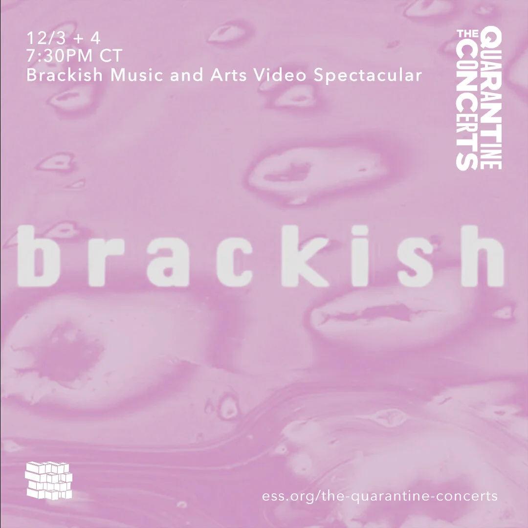TQC: Brackish Music and Arts Video Spectacular (Day 2)