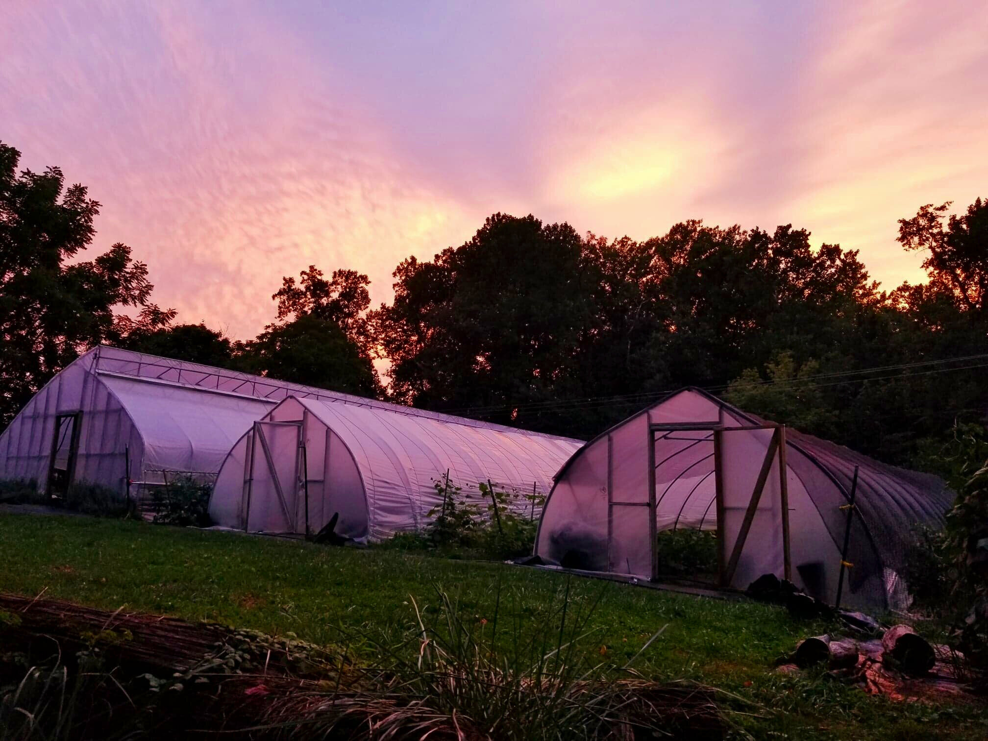 Milk and Honey Farms