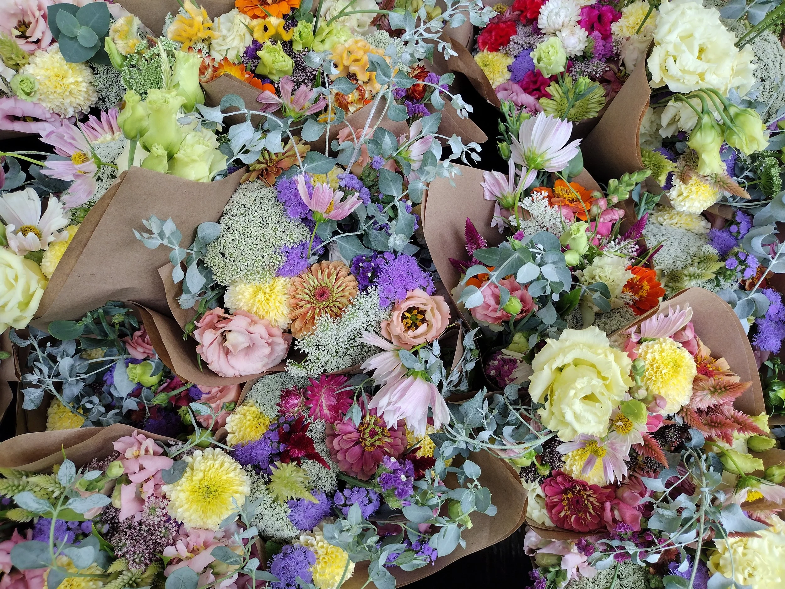 processed_cc1fadea82f641669218bed2e5496be0.jpeg