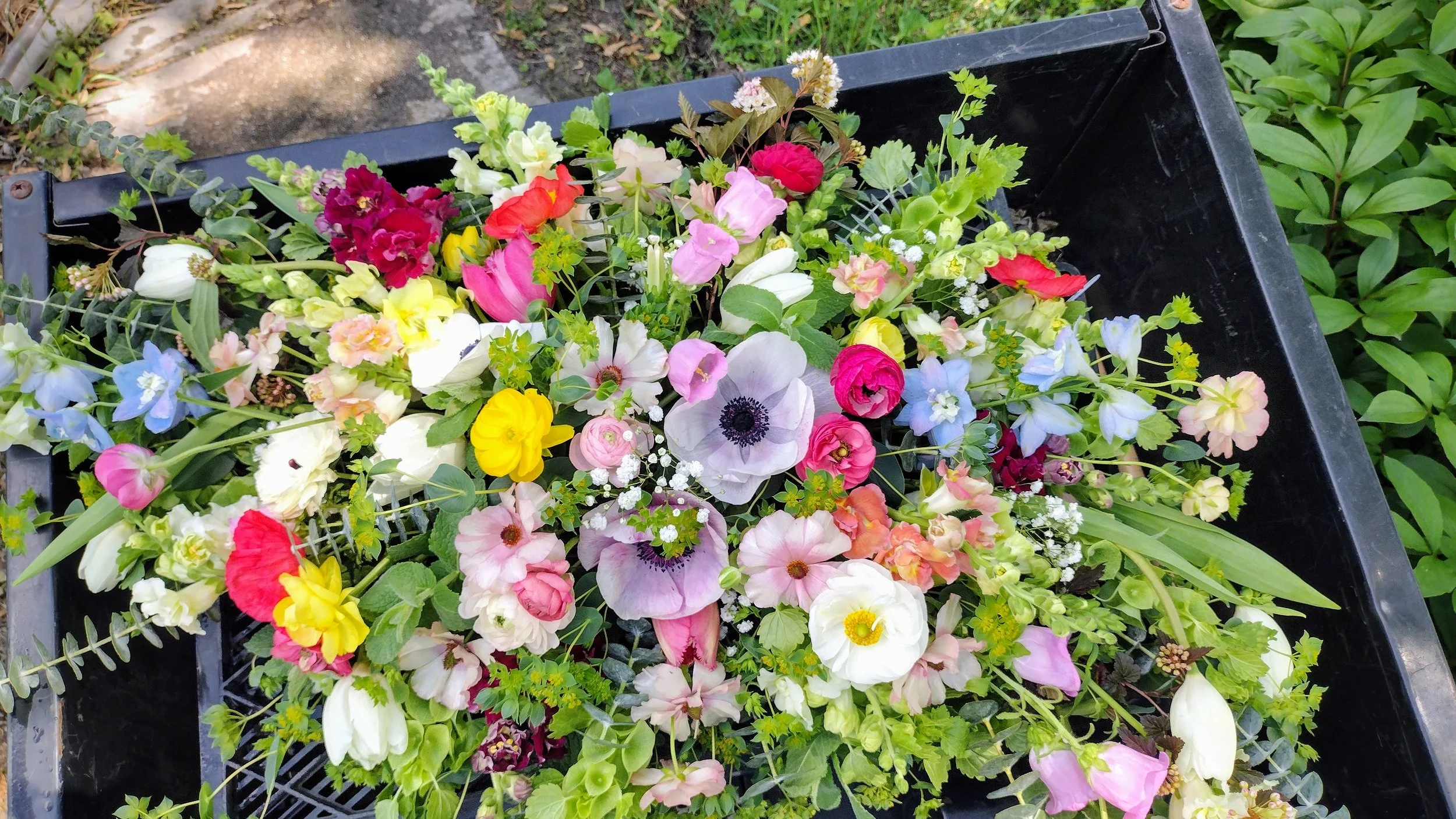  We construct arbor arrangements on-farm ahead of time for fast and seamless installation on your big day.  